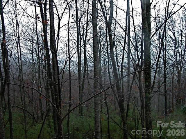 52 Hope View Road - Photo 16