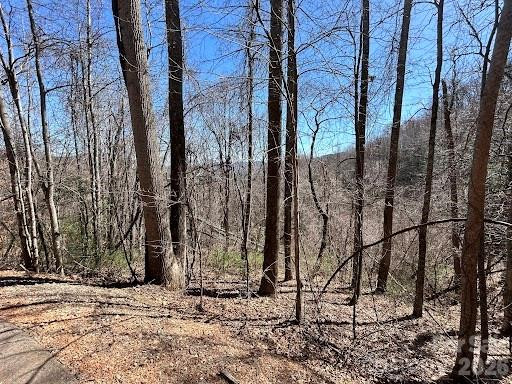 52 Hope View Road - Photo 4