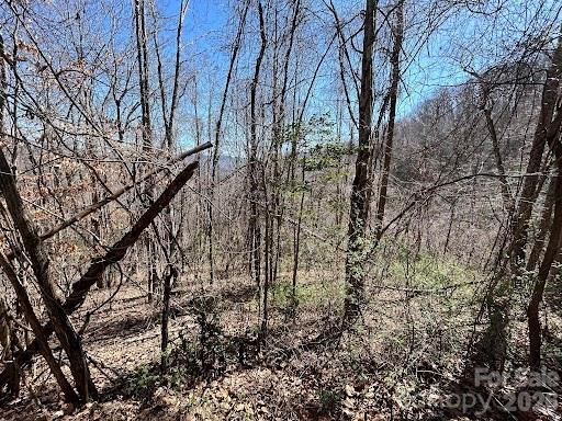 52 Hope View Road - Photo 5