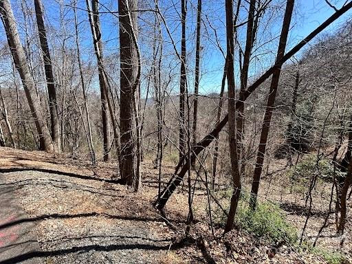 52 Hope View Road - Photo 6