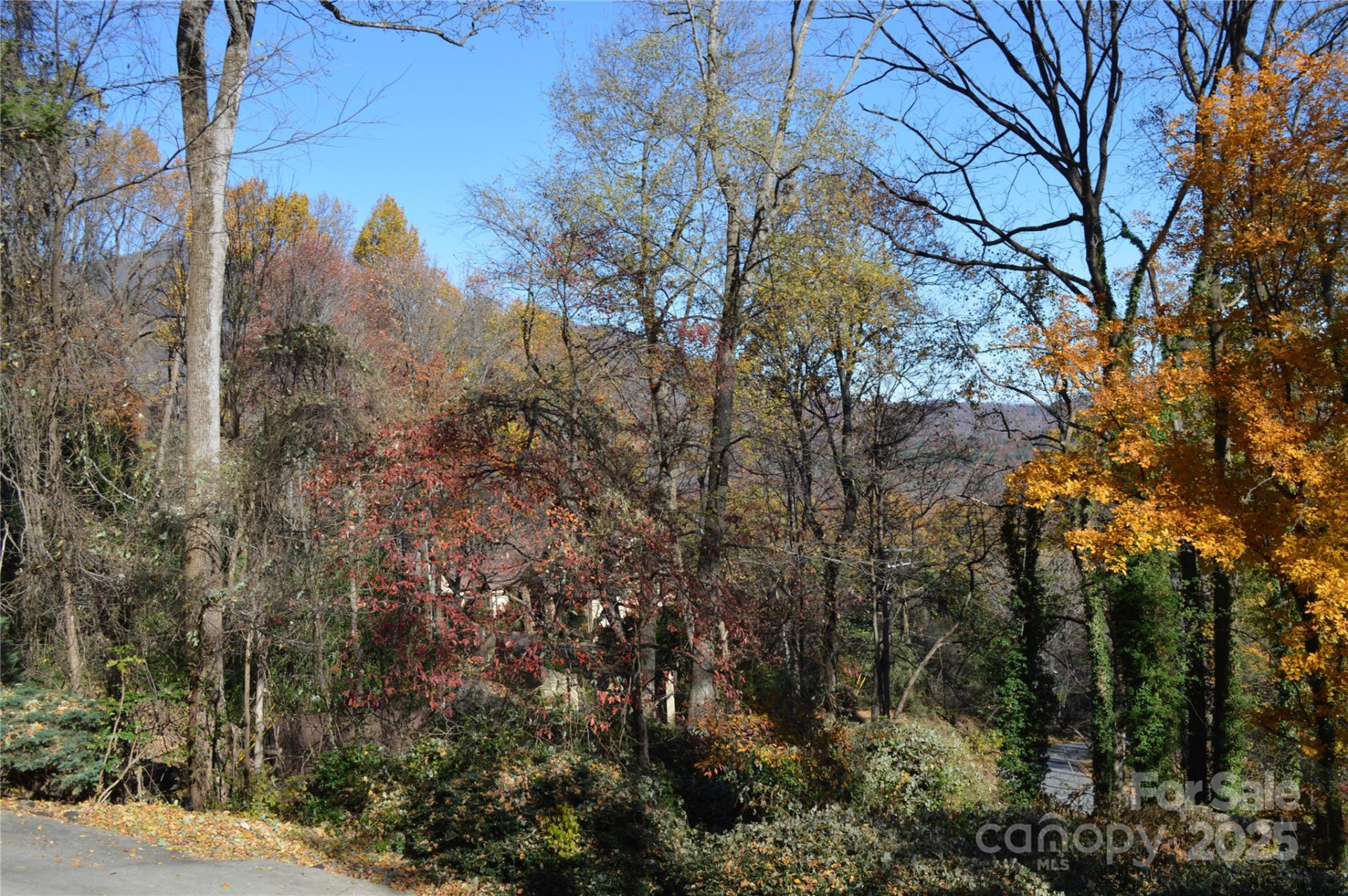 502 Meadowlark Drive - Photo 37