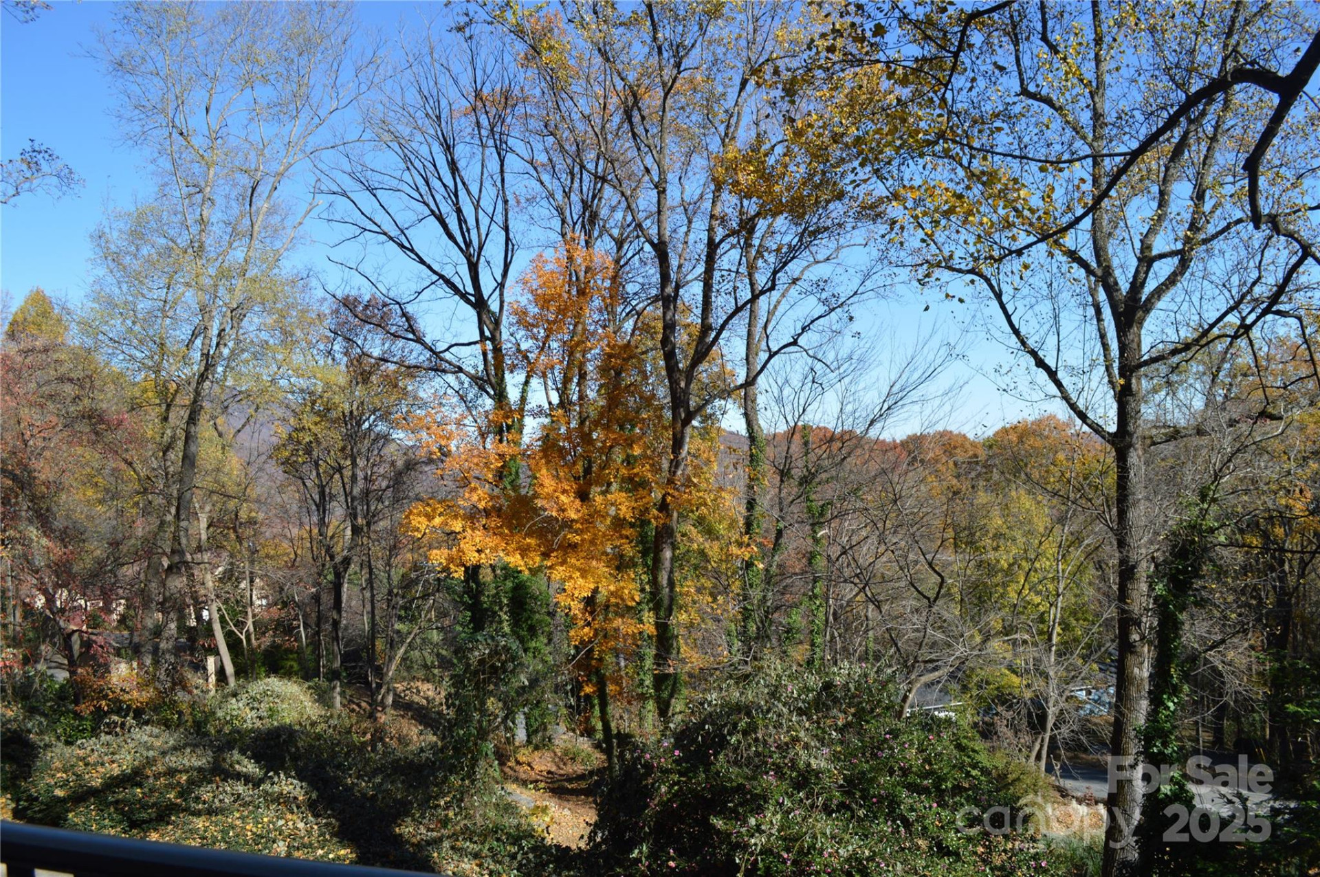 502 Meadowlark Drive - Photo 38