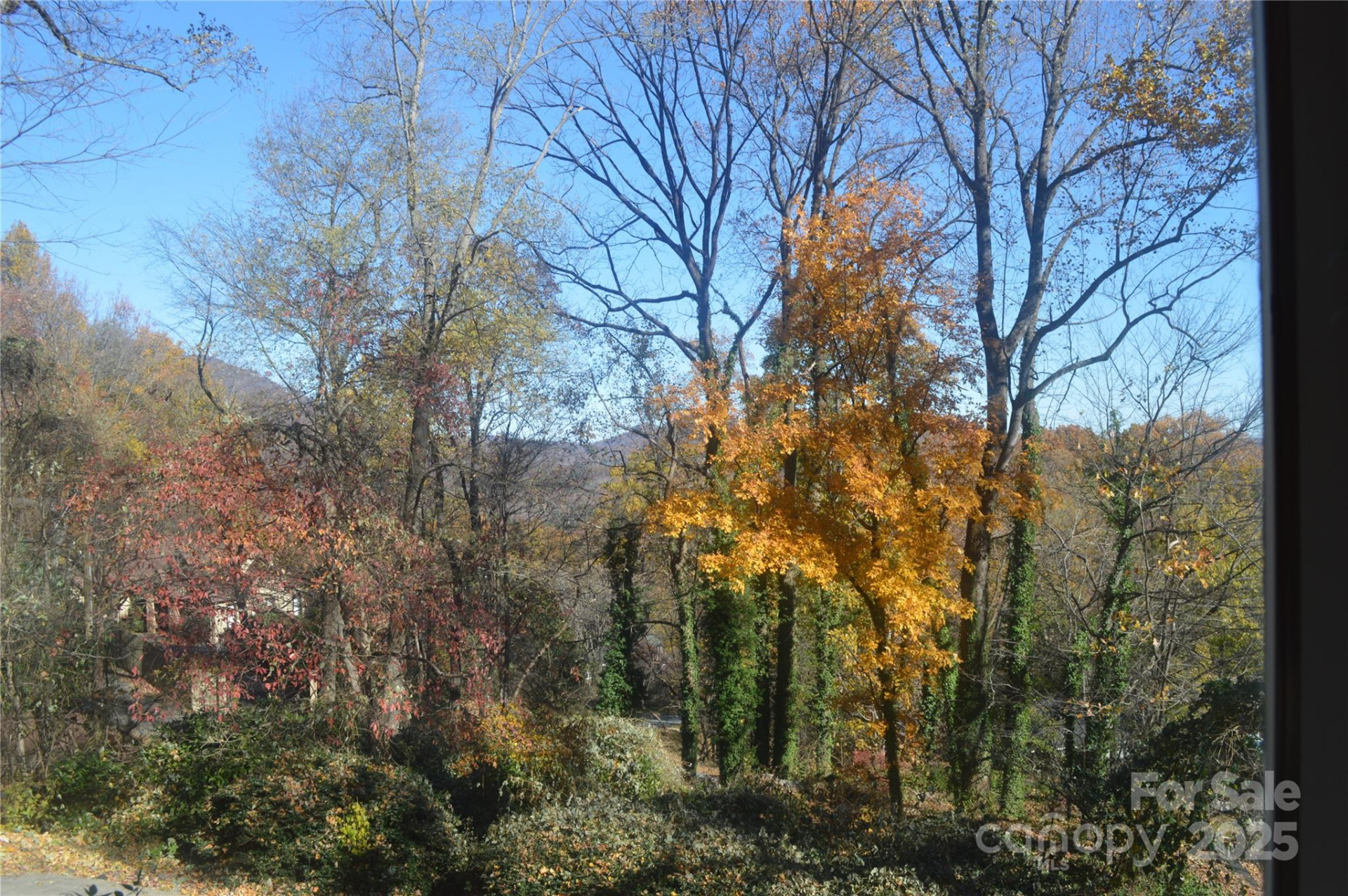 502 Meadowlark Drive - Photo 39