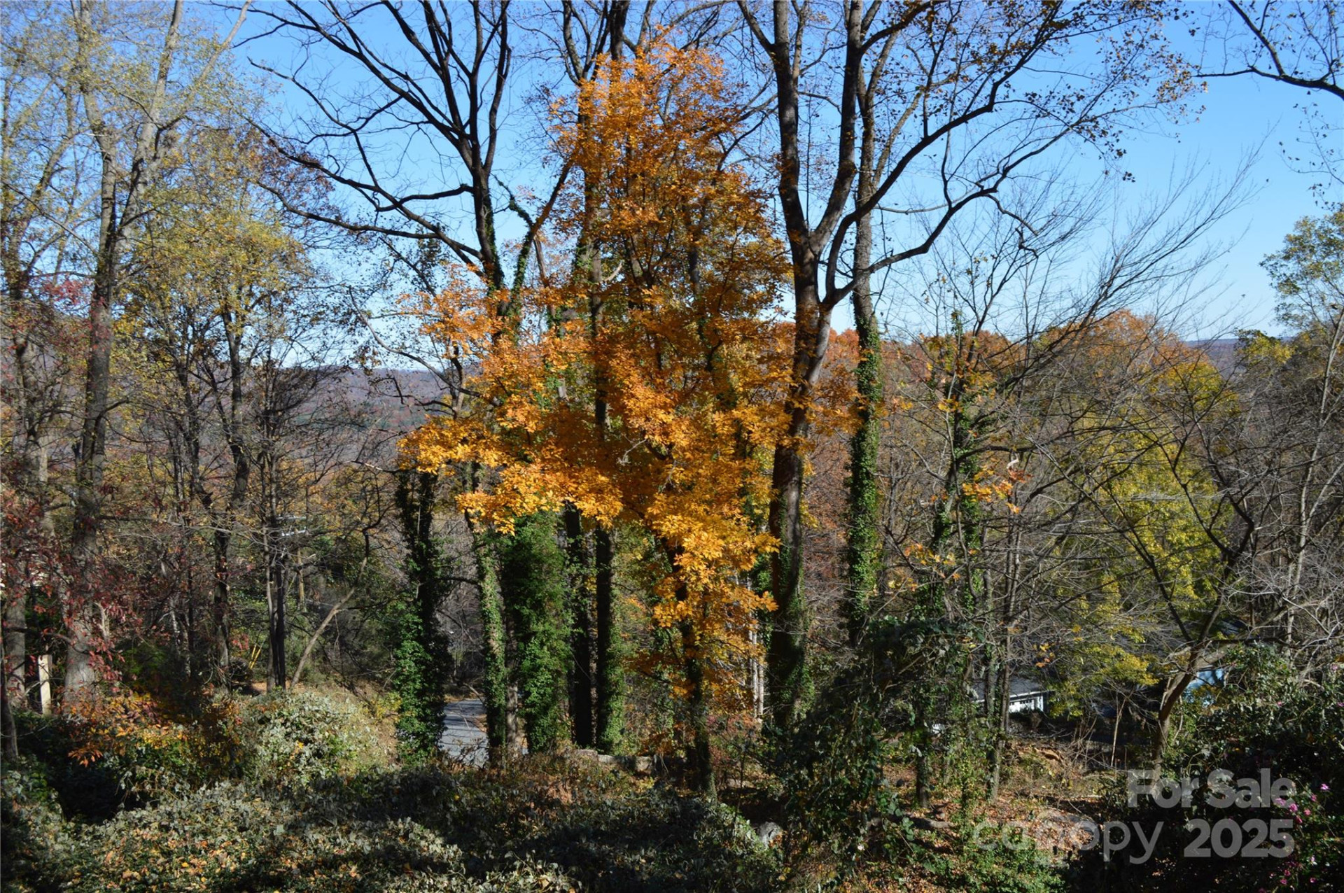502 Meadowlark Drive - Photo 40