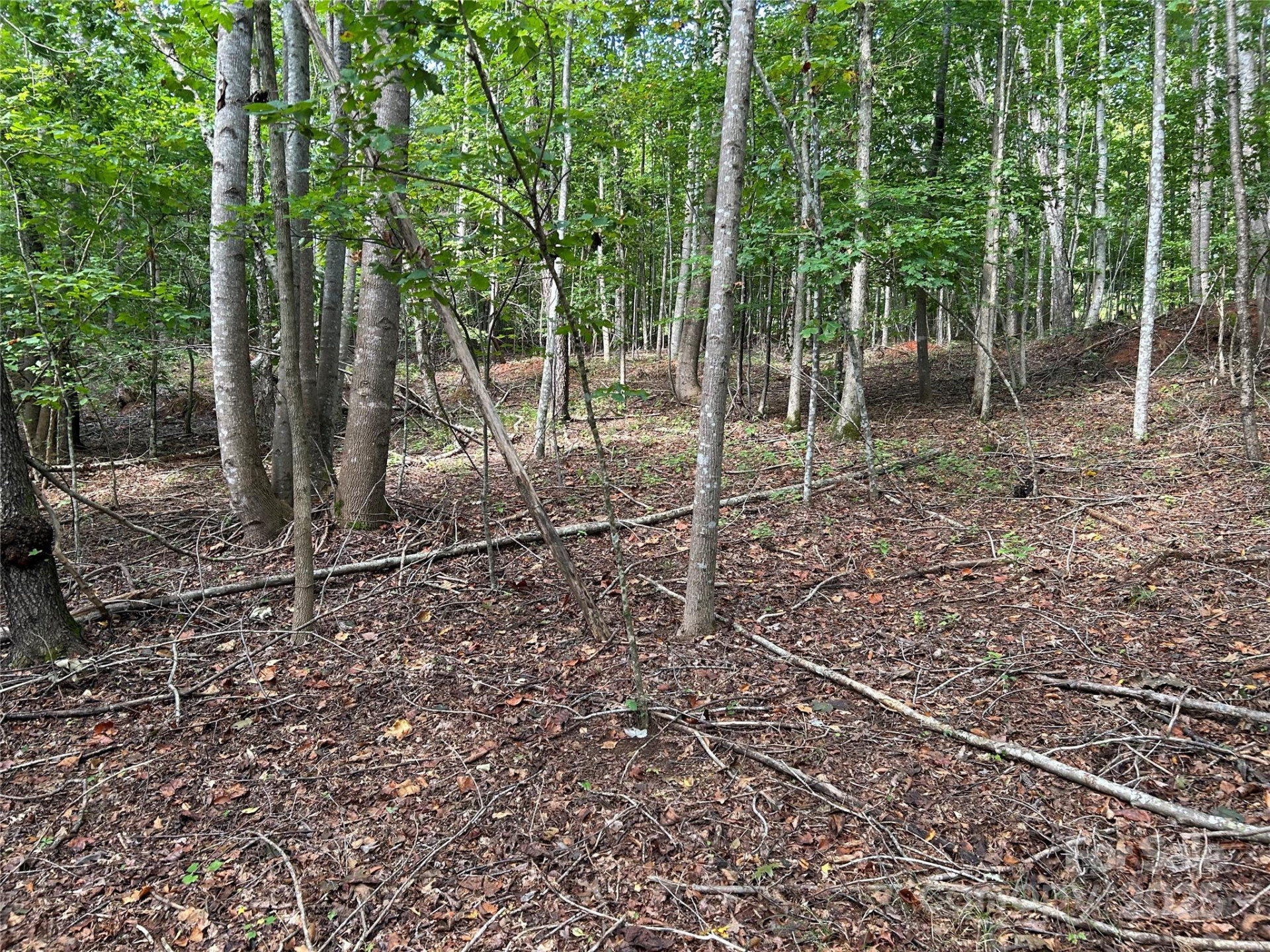 0 Hope Drive #20 - Photo 6