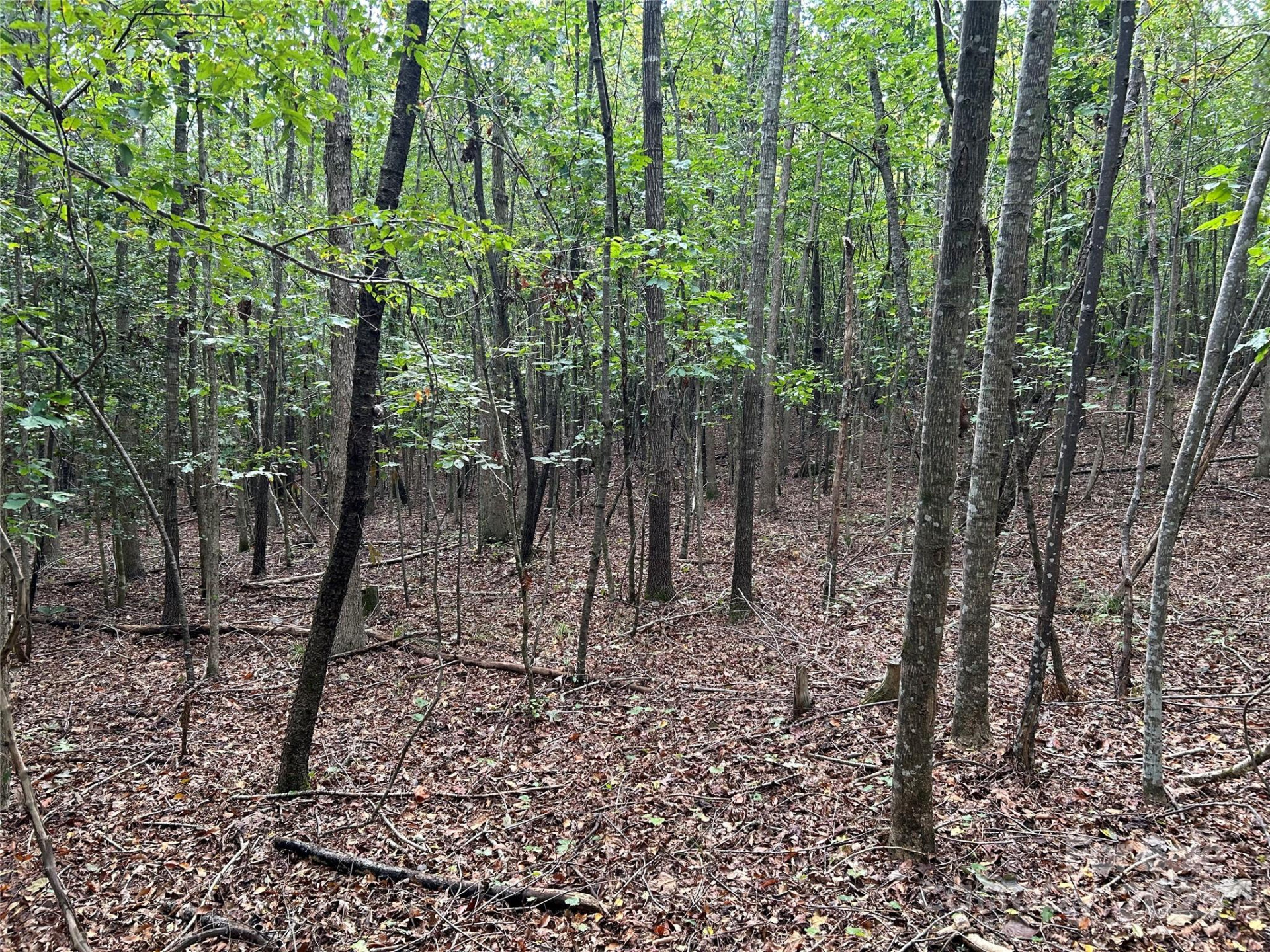 0 Hope Drive #20 - Photo 7