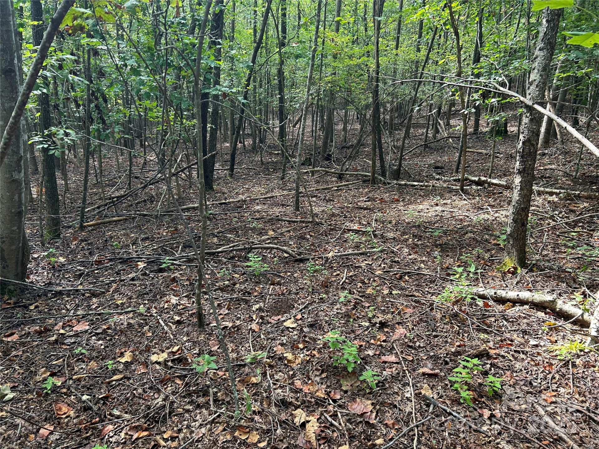 0 Hope Drive #20 - Photo 8