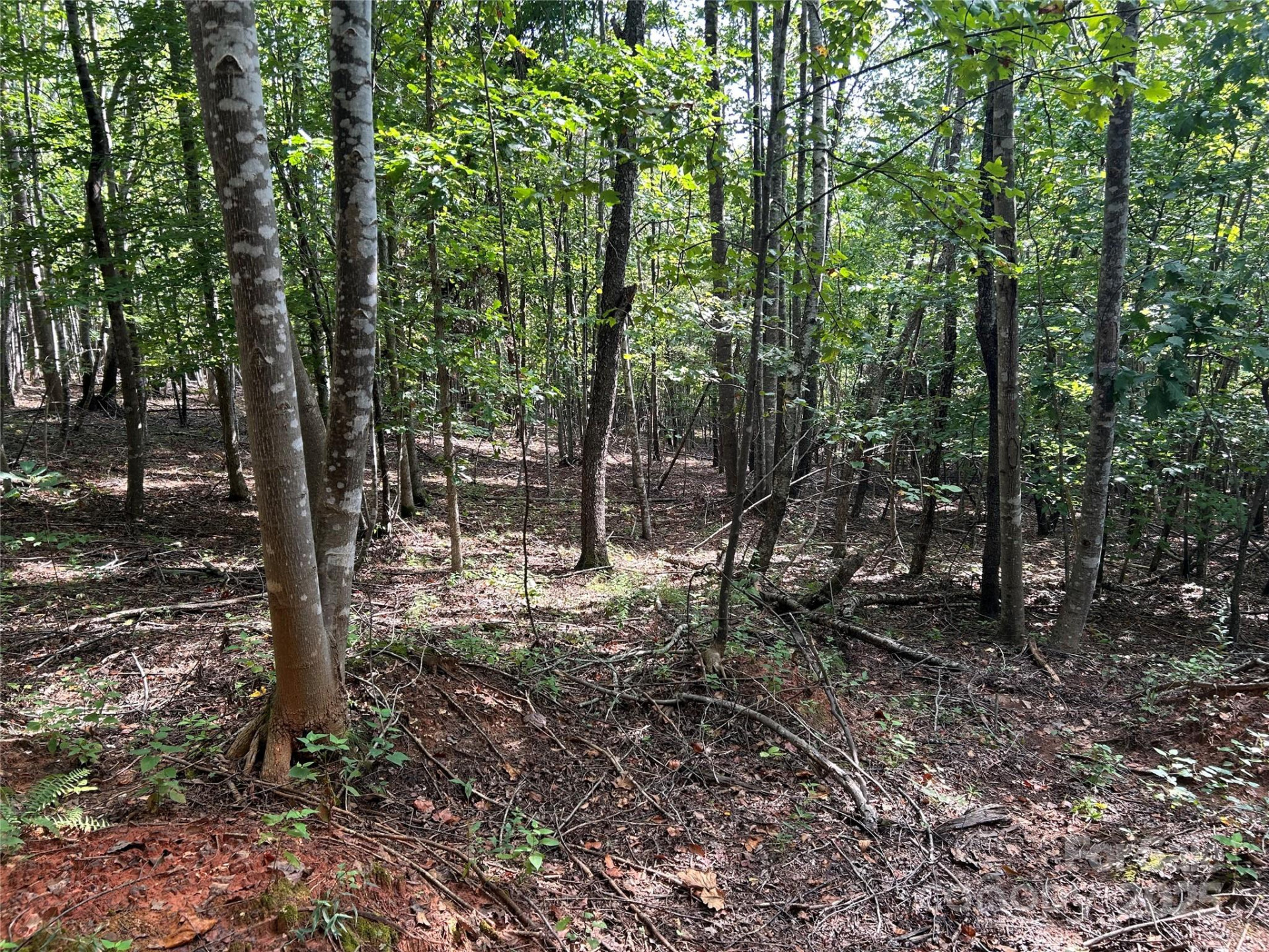 0 Hope Drive #20 - Photo 9