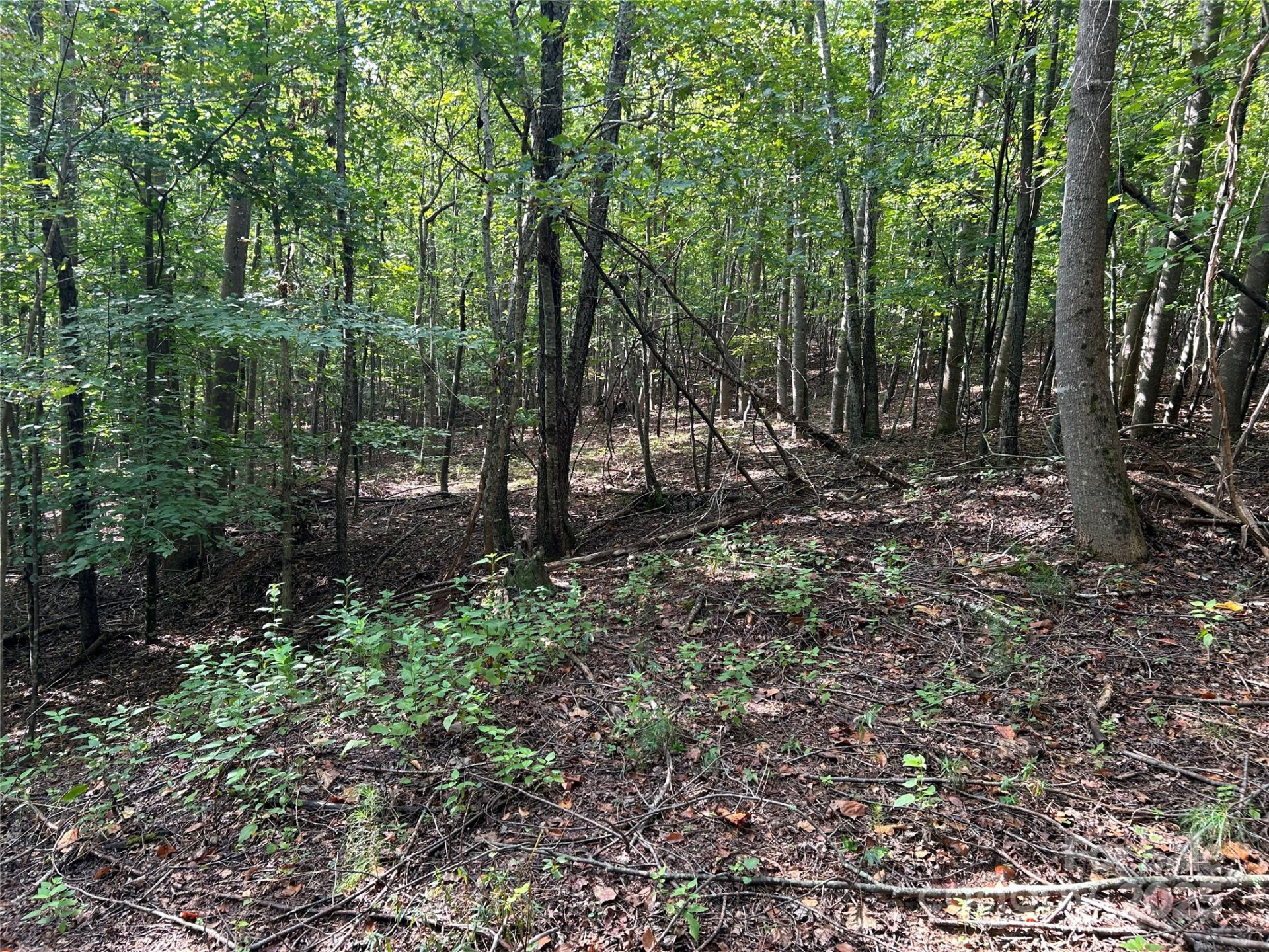 0 Hope Drive #20 - Photo 10