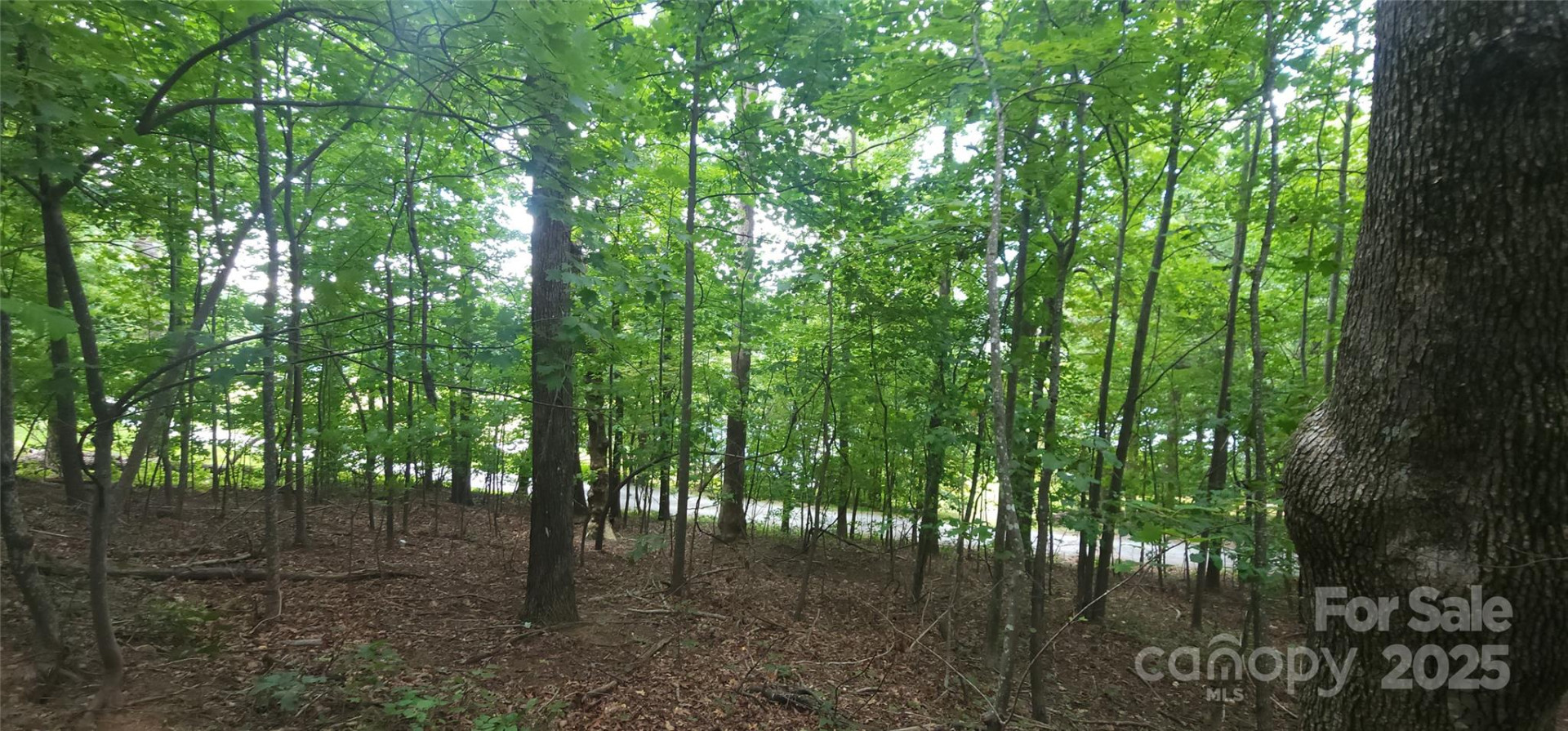 Lot 80 Serpentine Drive #80A - Photo 5