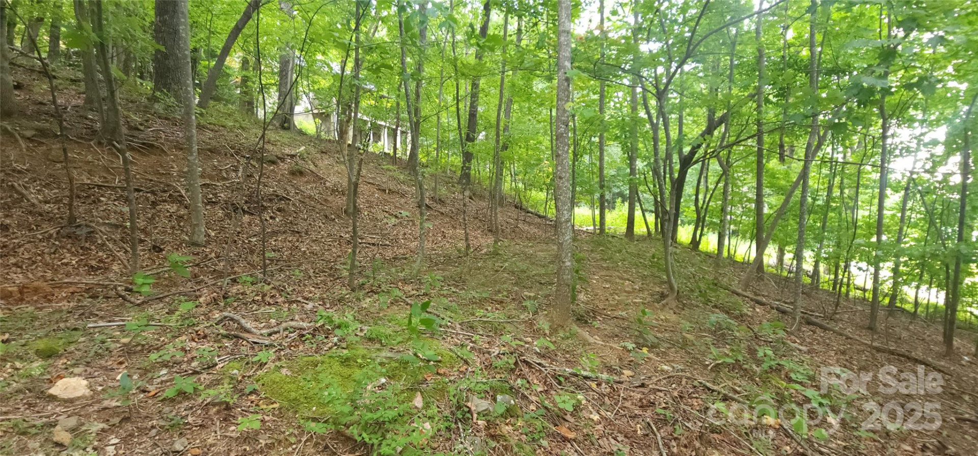 Lot 80 Serpentine Drive #80A - Photo 6