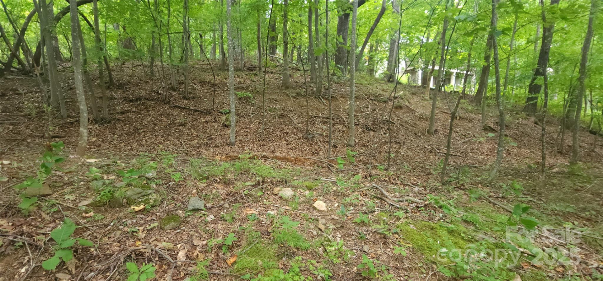 Lot 80 Serpentine Drive #80A - Photo 7