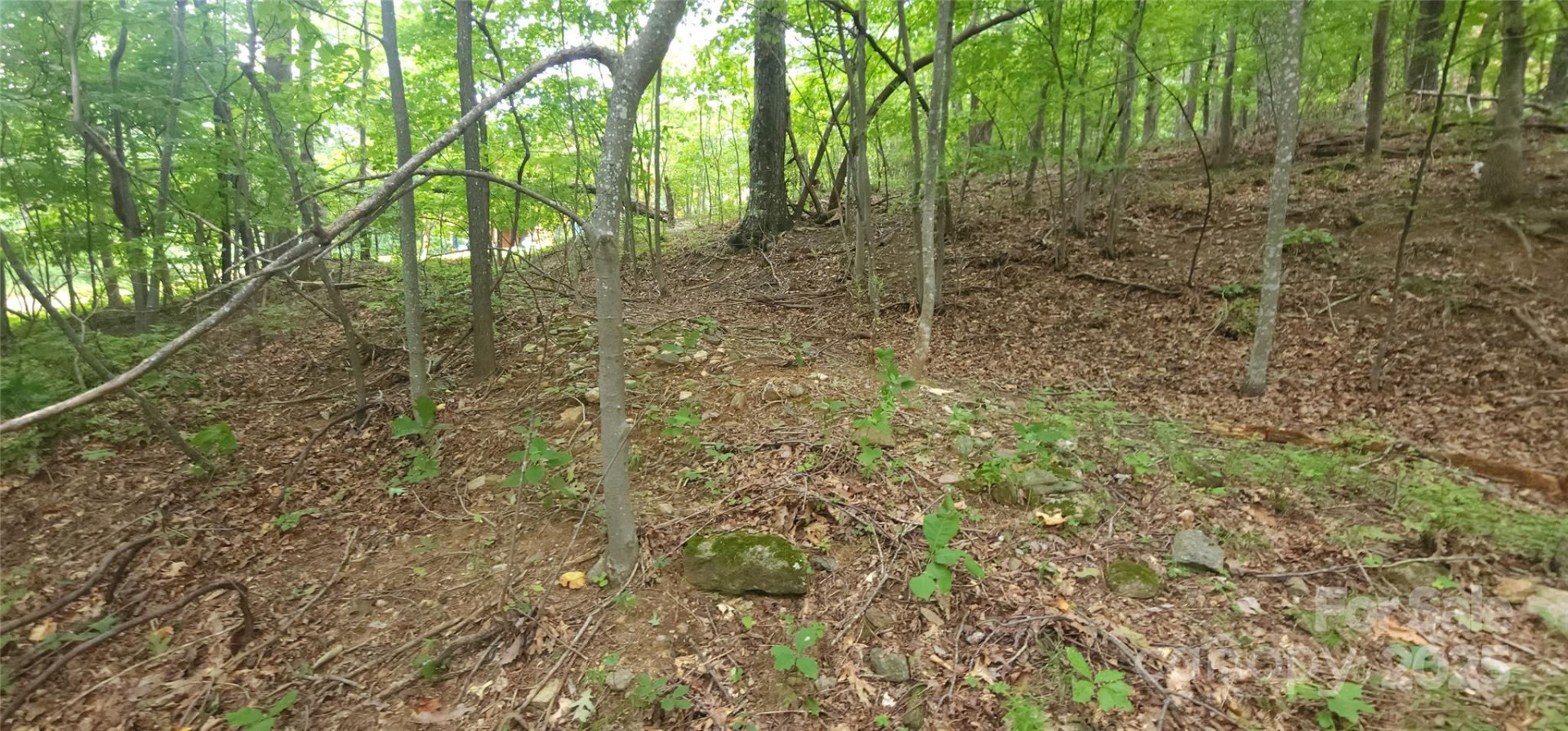 Lot 80 Serpentine Drive #80A - Photo 8