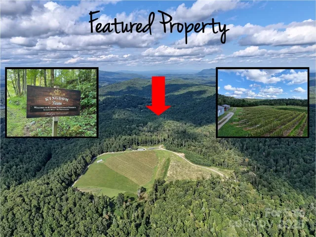 781 Payne Drive, Zirconia, NC, 28790