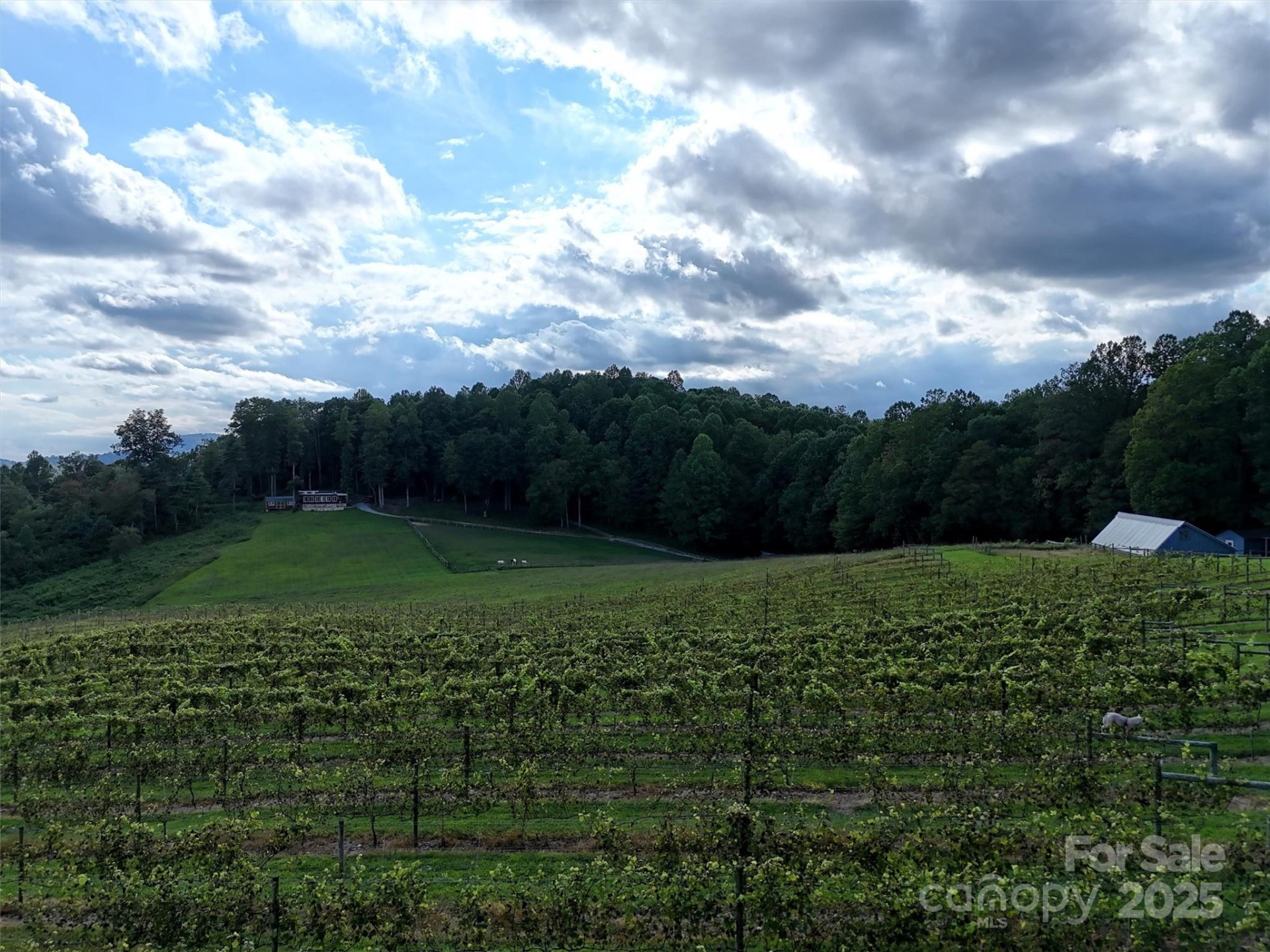 781 Payne Drive - Photo 11