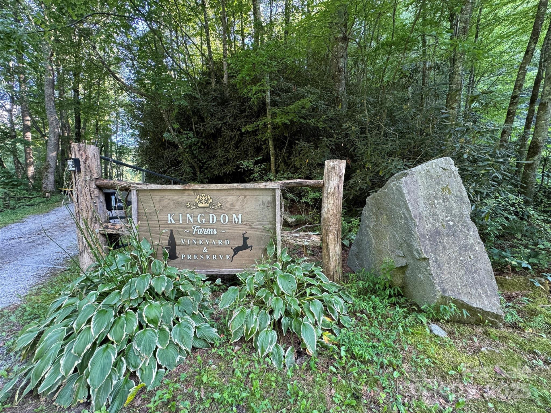 781 Payne Drive - Photo 3