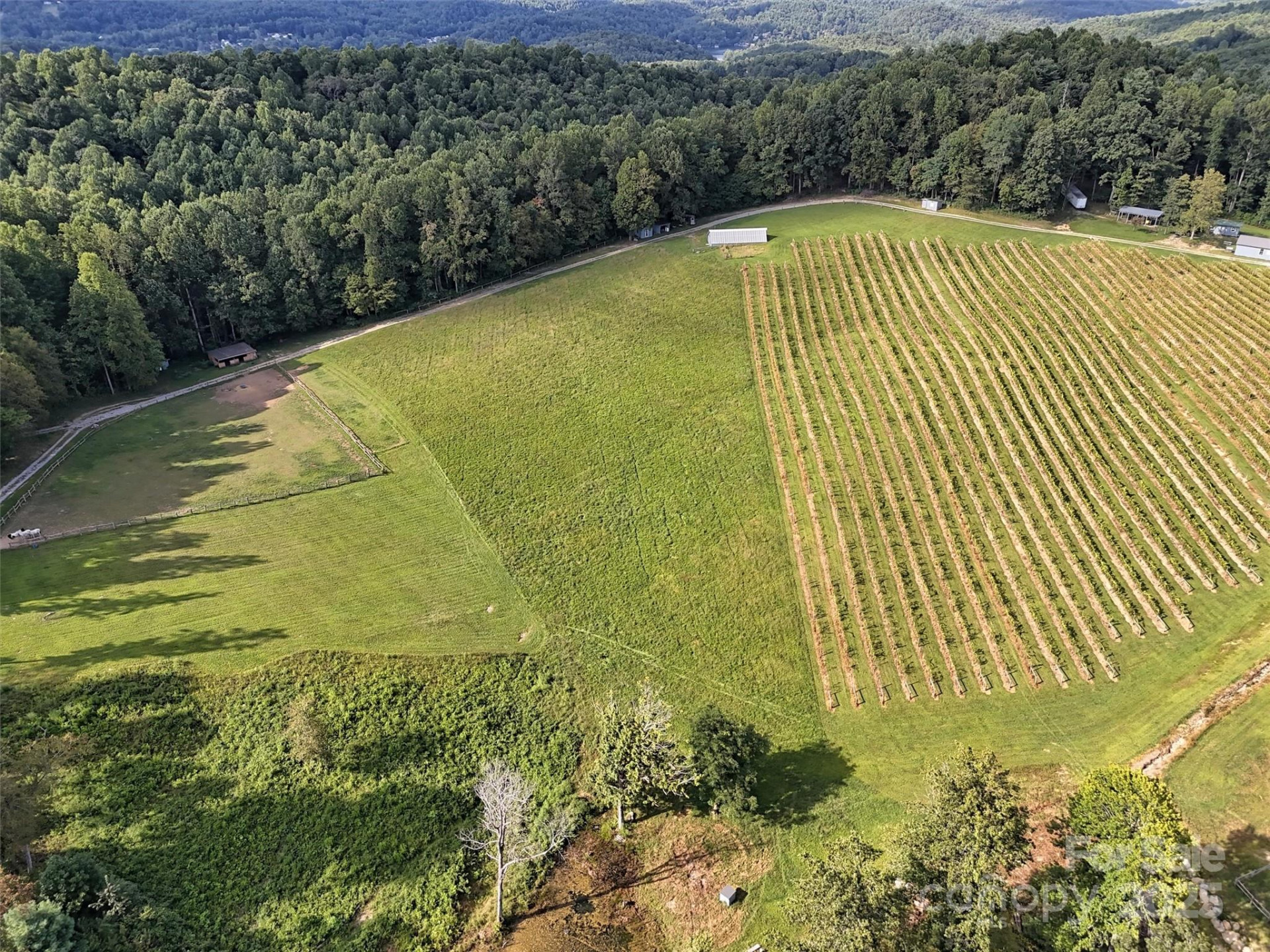 781 Payne Drive - Photo 27