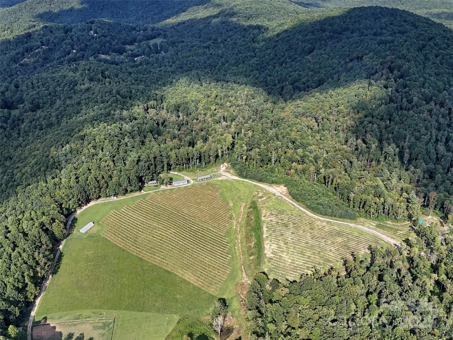 781 Payne Drive - Photo 29