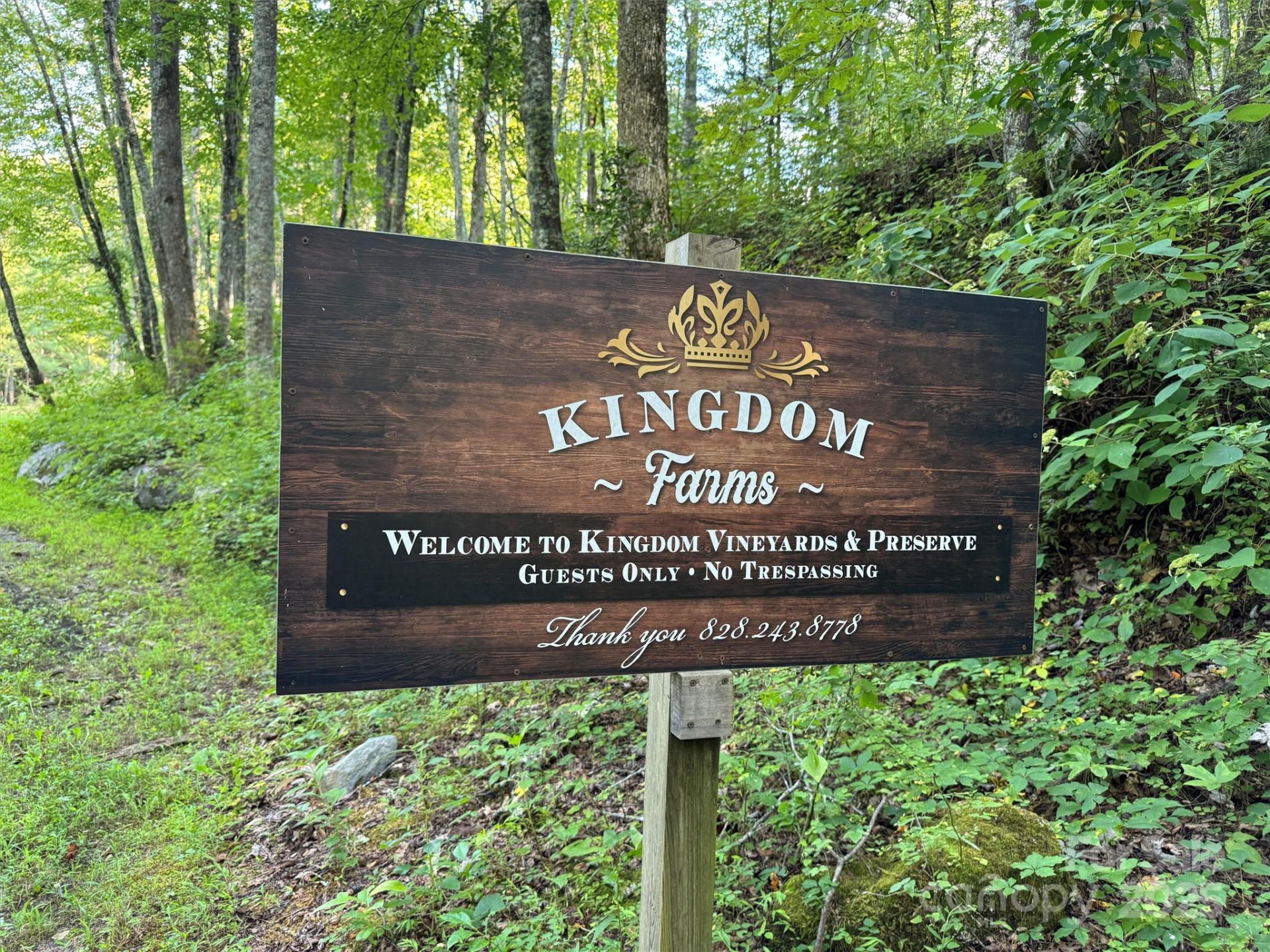 781 Payne Drive - Photo 4