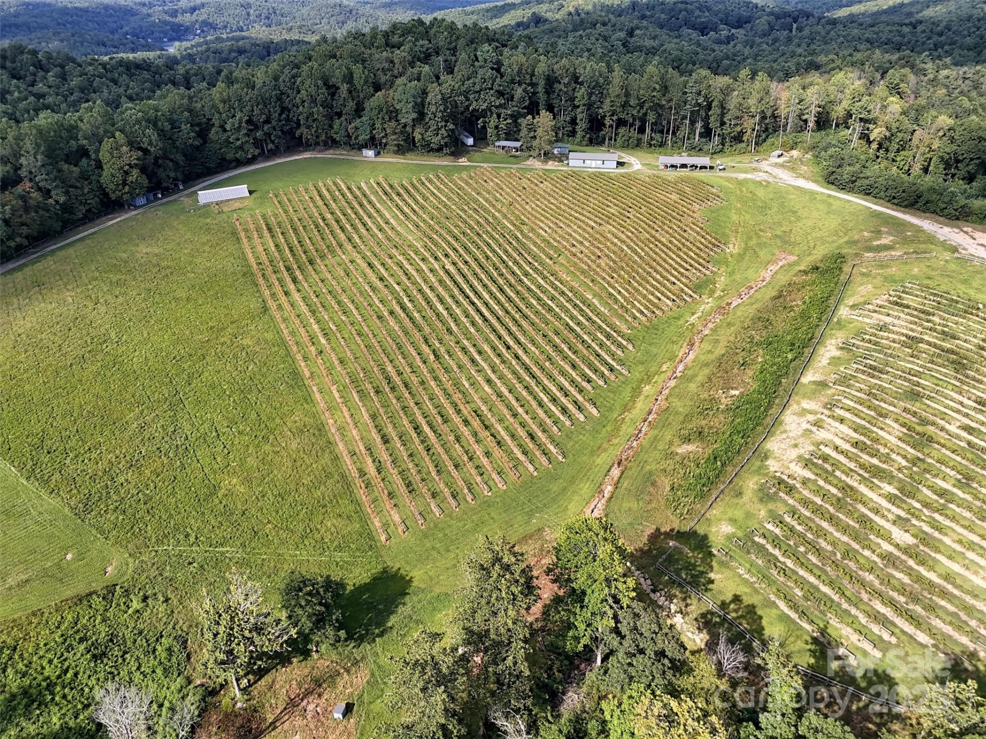 781 Payne Drive - Photo 31