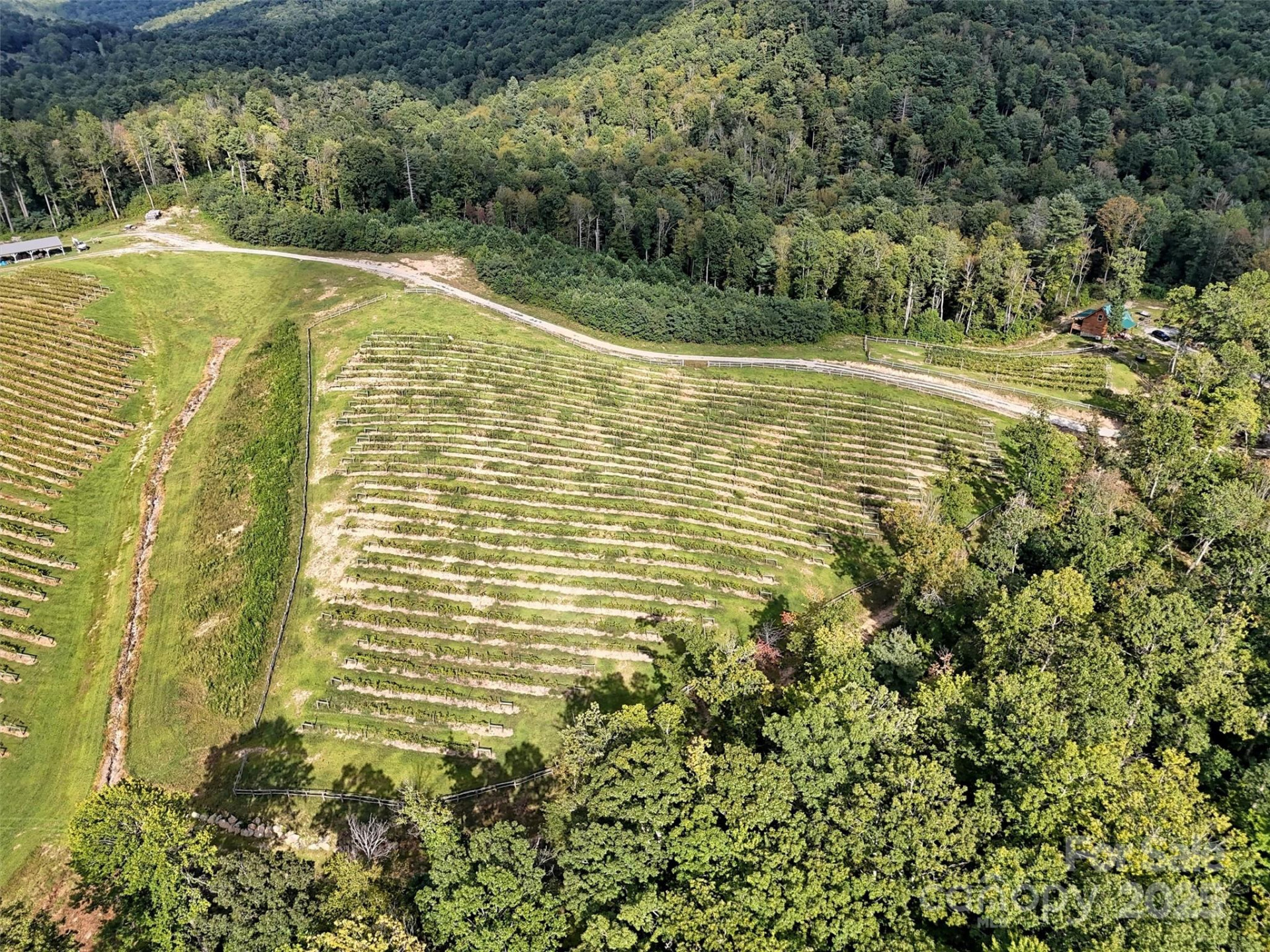 781 Payne Drive - Photo 32