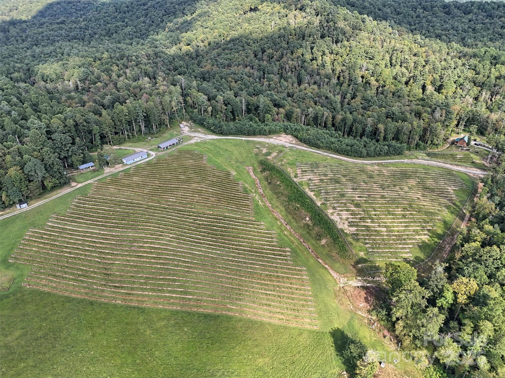 781 Payne Drive - Photo 33