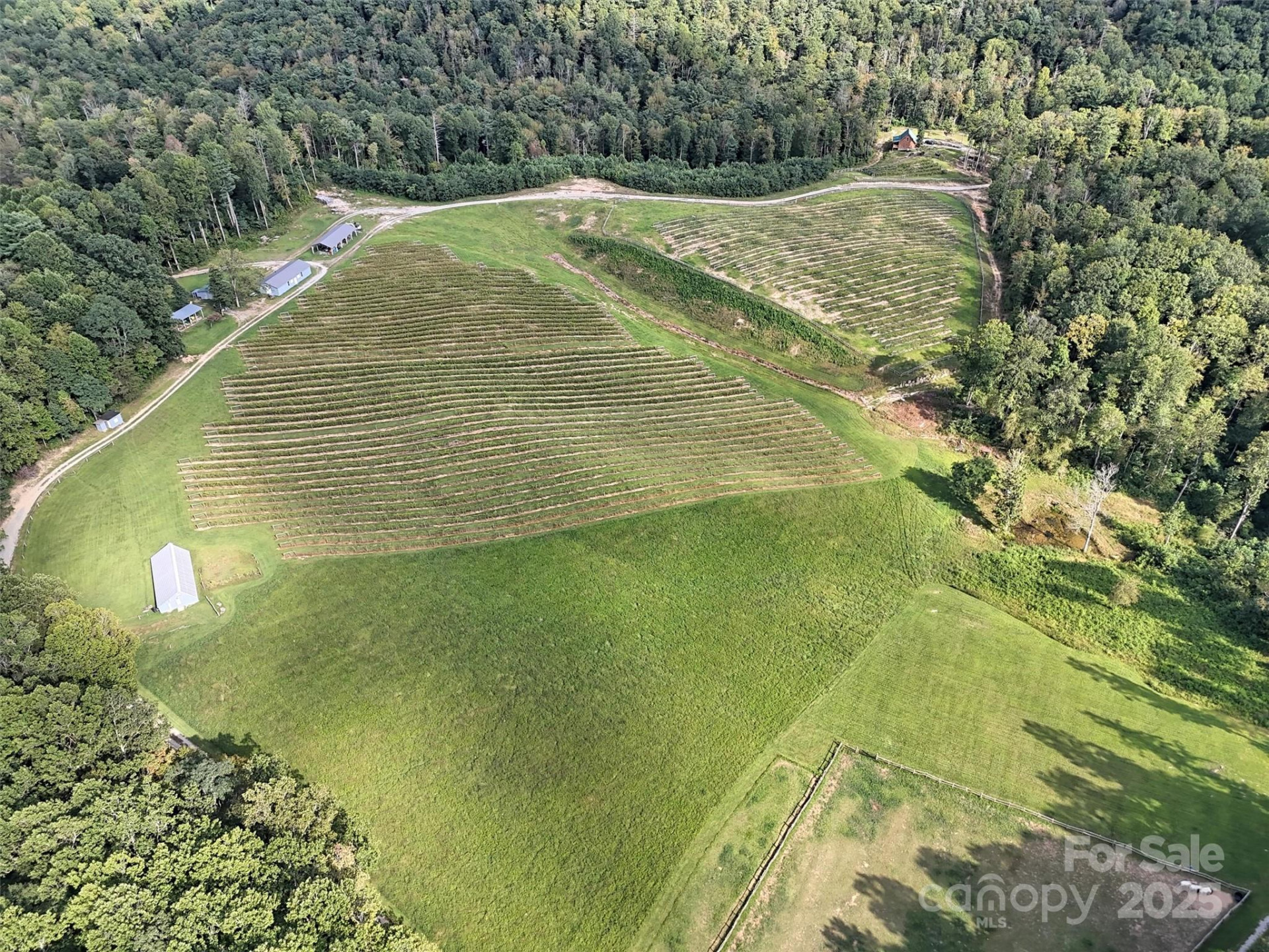 781 Payne Drive - Photo 34