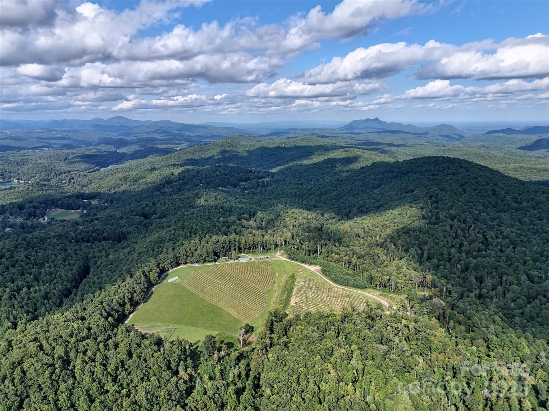 781 Payne Drive - Photo 39