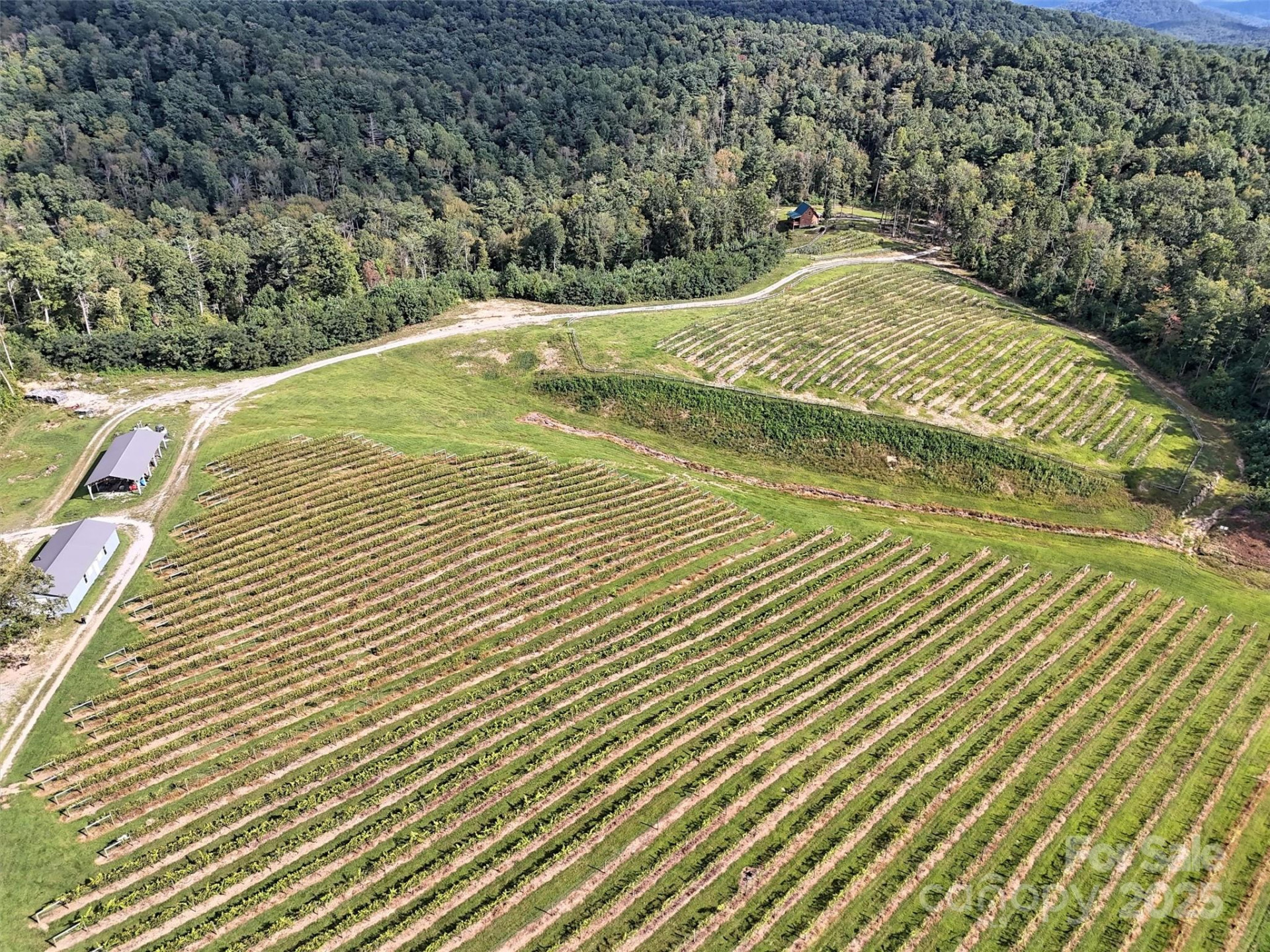 781 Payne Drive - Photo 5