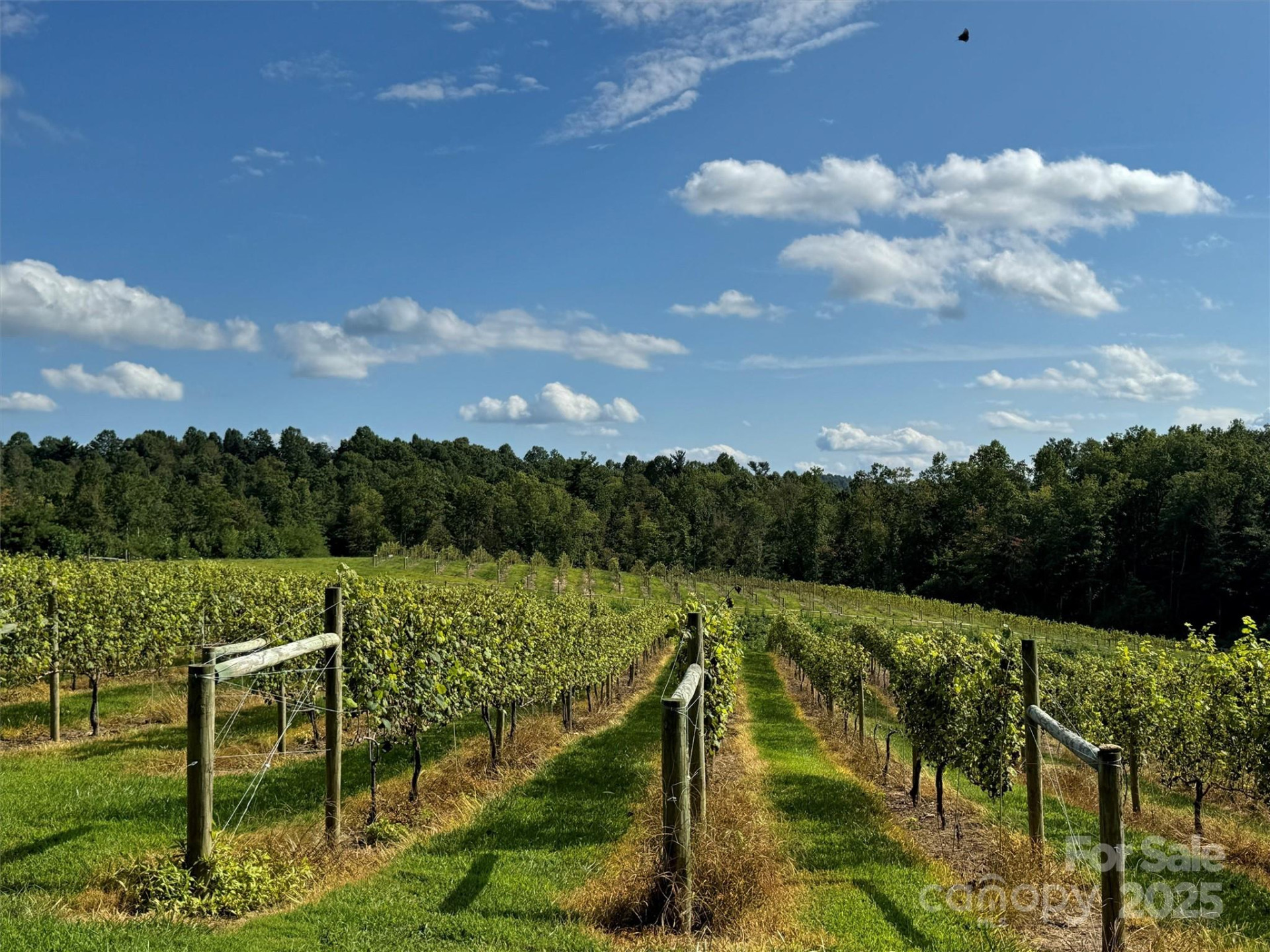 781 Payne Drive - Photo 6