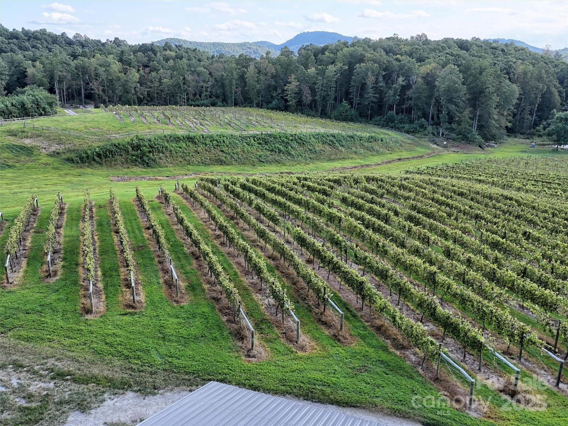 781 Payne Drive - Photo 7