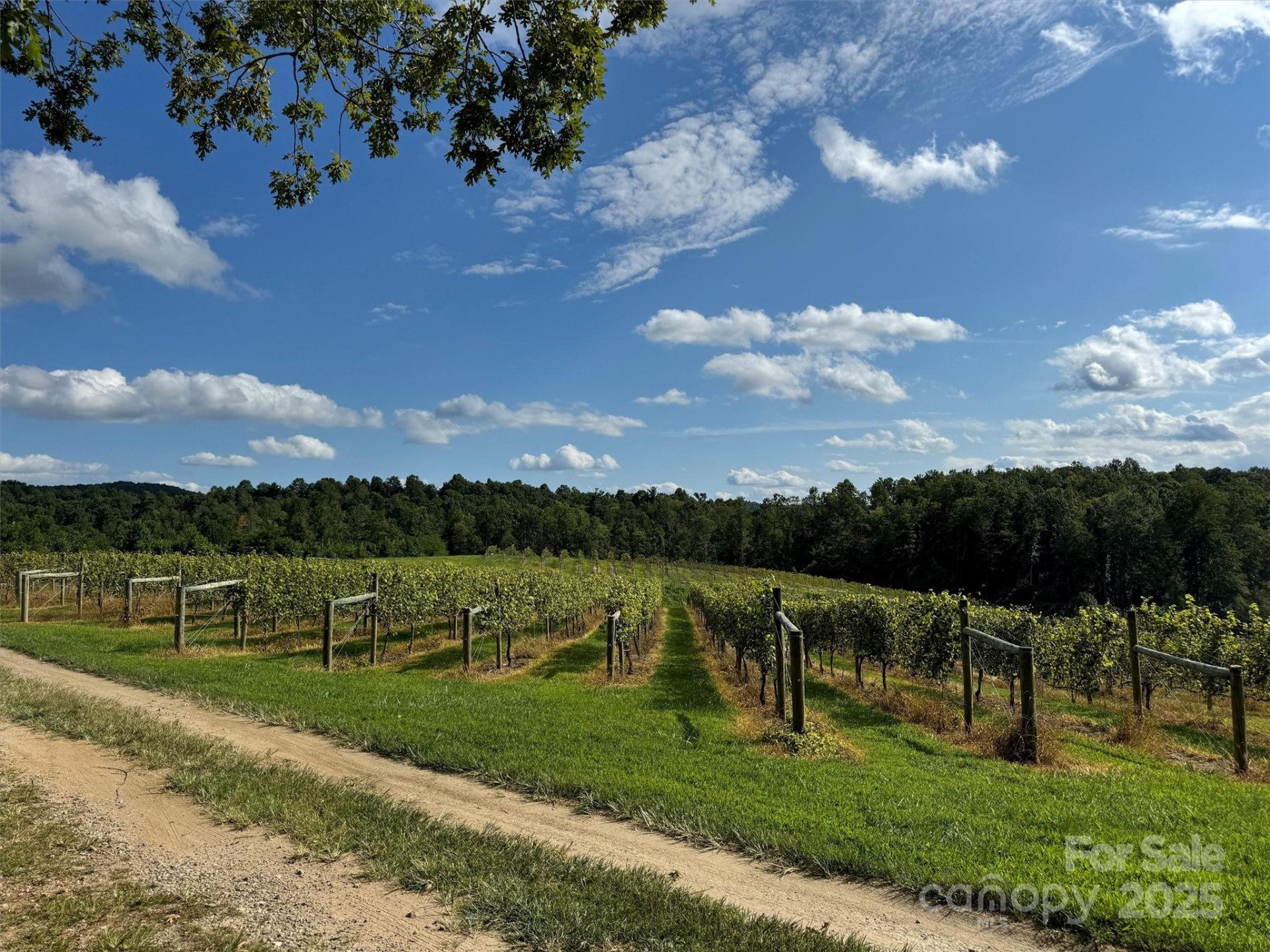 781 Payne Drive - Photo 8