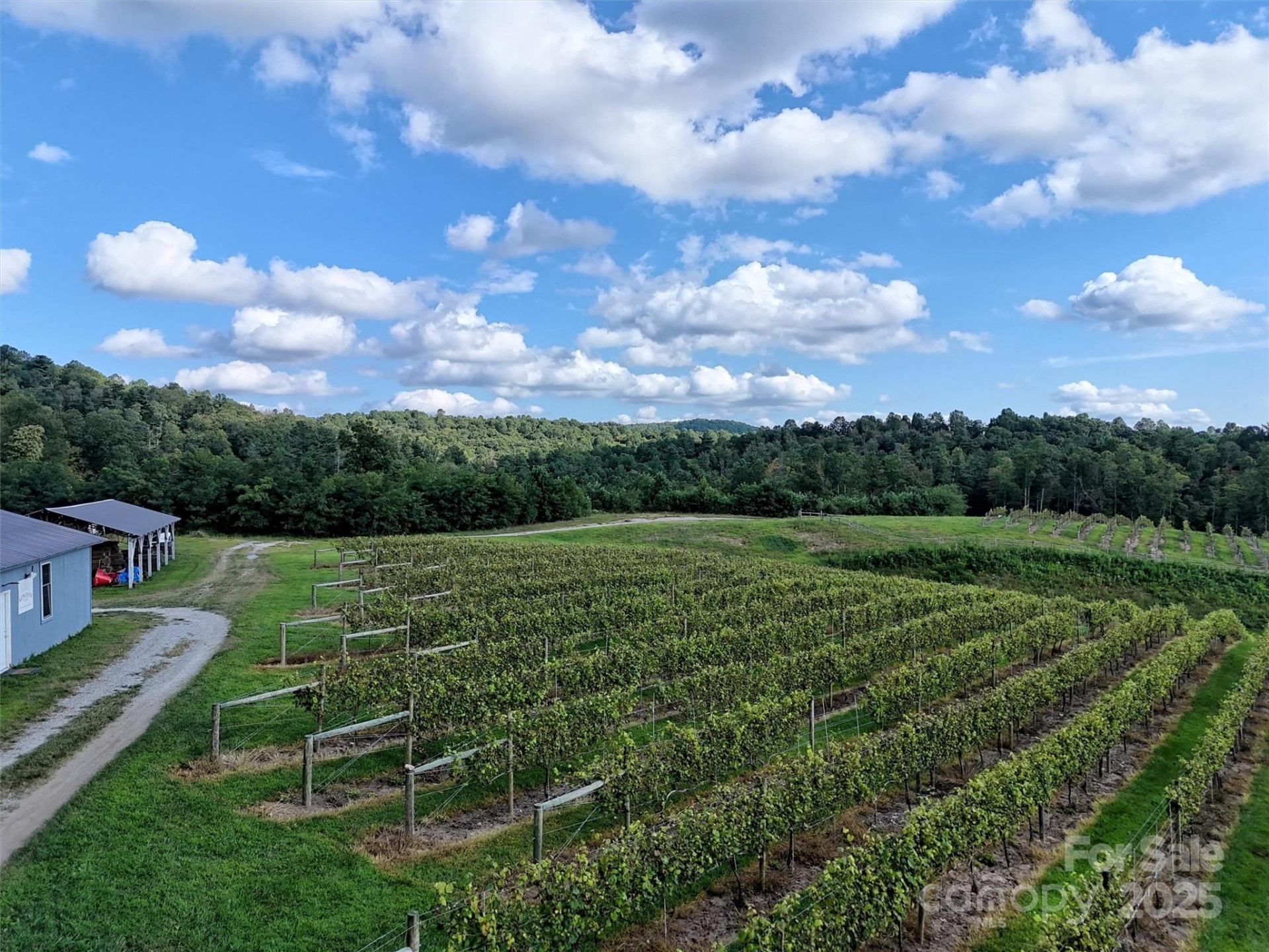 781 Payne Drive - Photo 9