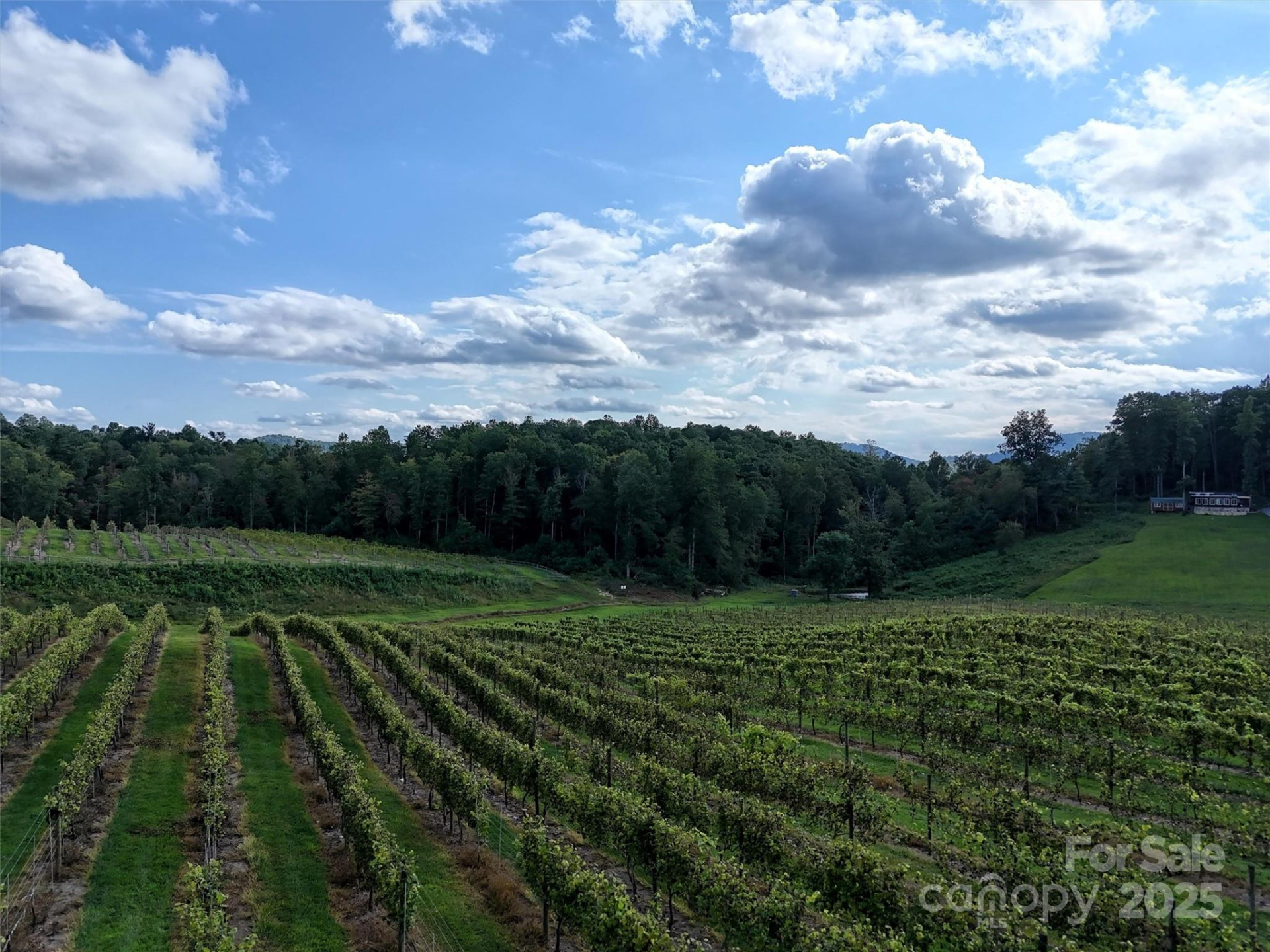 781 Payne Drive - Photo 10