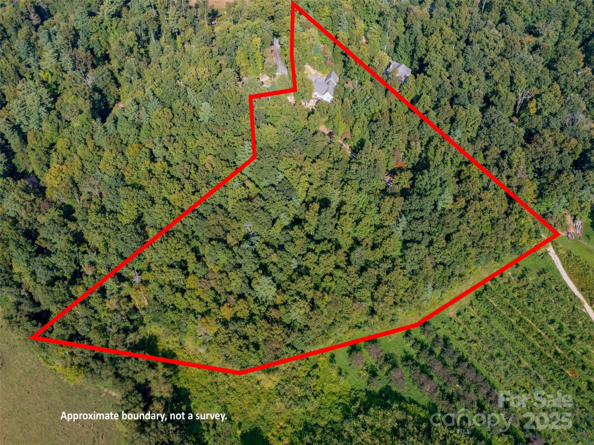 74 Woodlyn Etch Drive - Photo 36