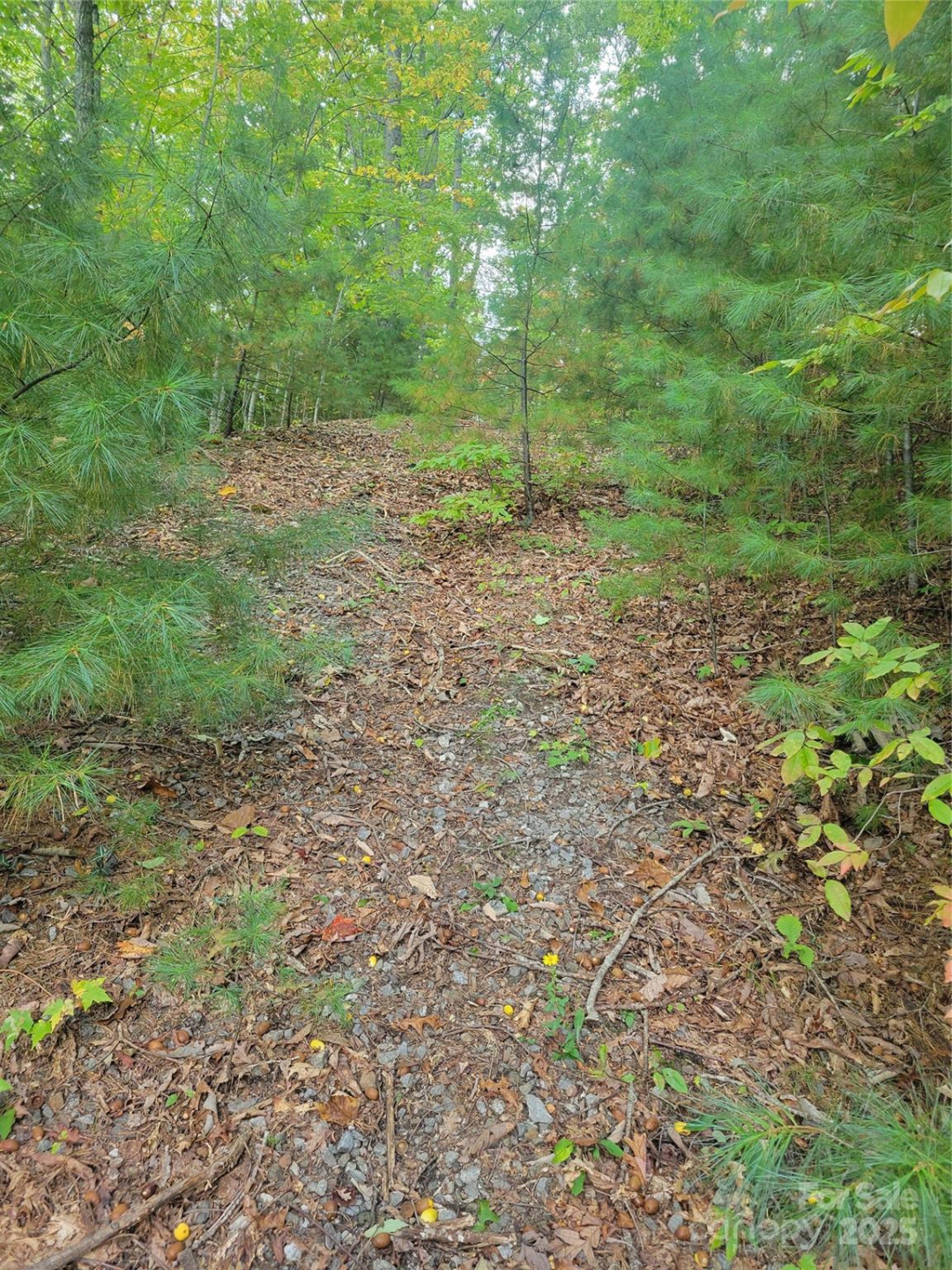 0 Pinewood Drive #5 - Photo 3