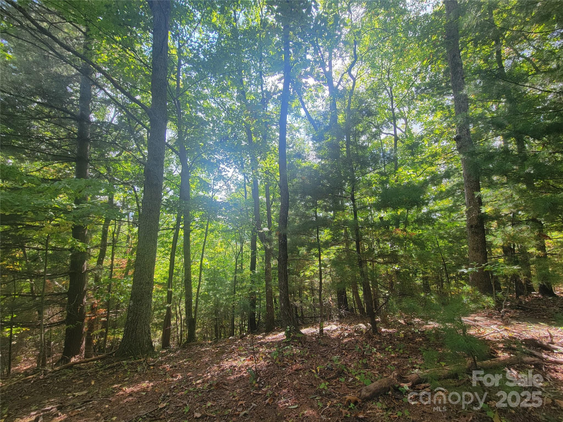 0 Pinewood Drive #5 - Photo 6