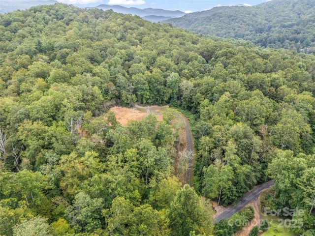 16 Wildcat Ridge Drive, Fairview, NC, 28730