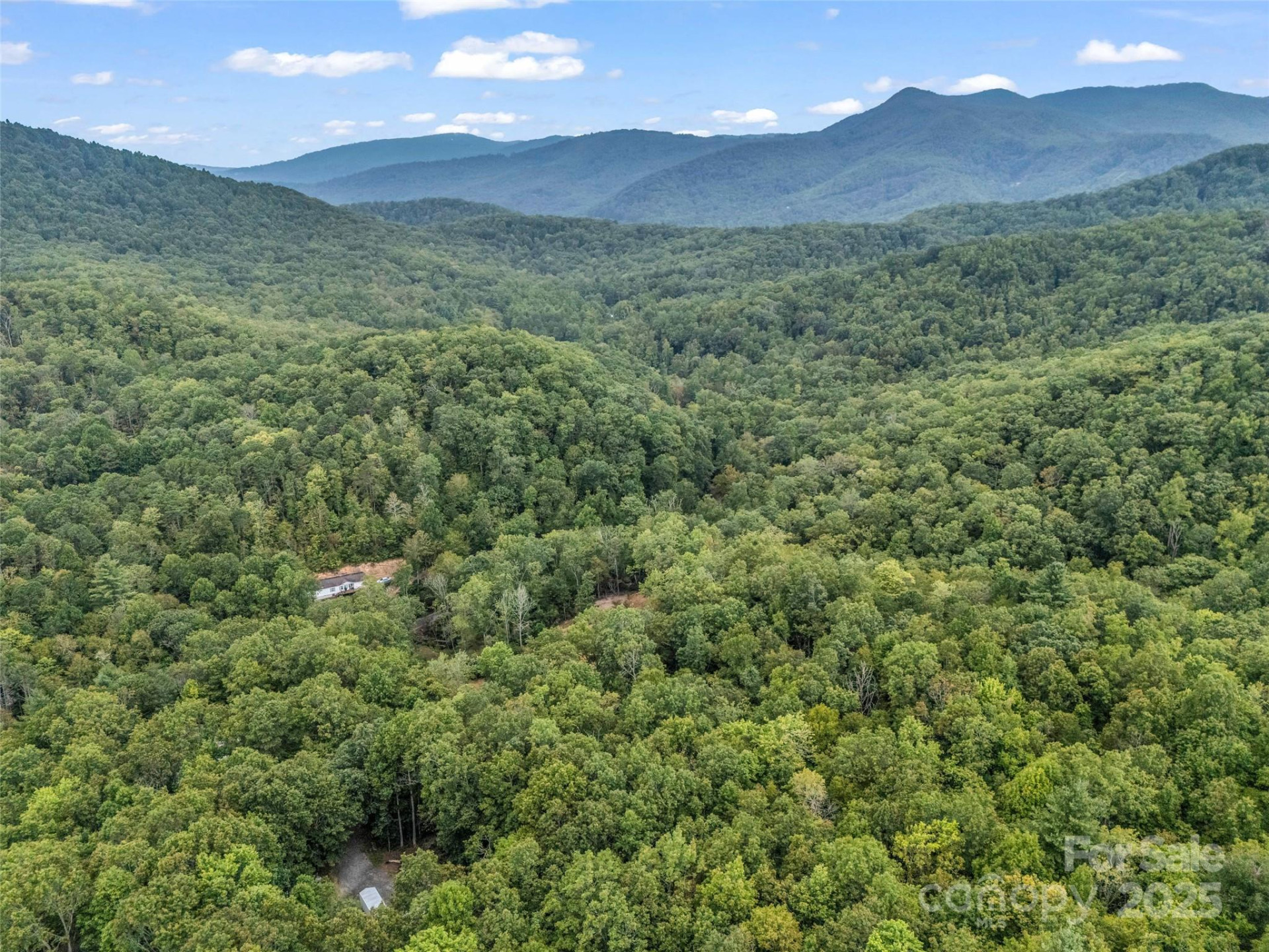 16 Wildcat Ridge Drive - Photo 11