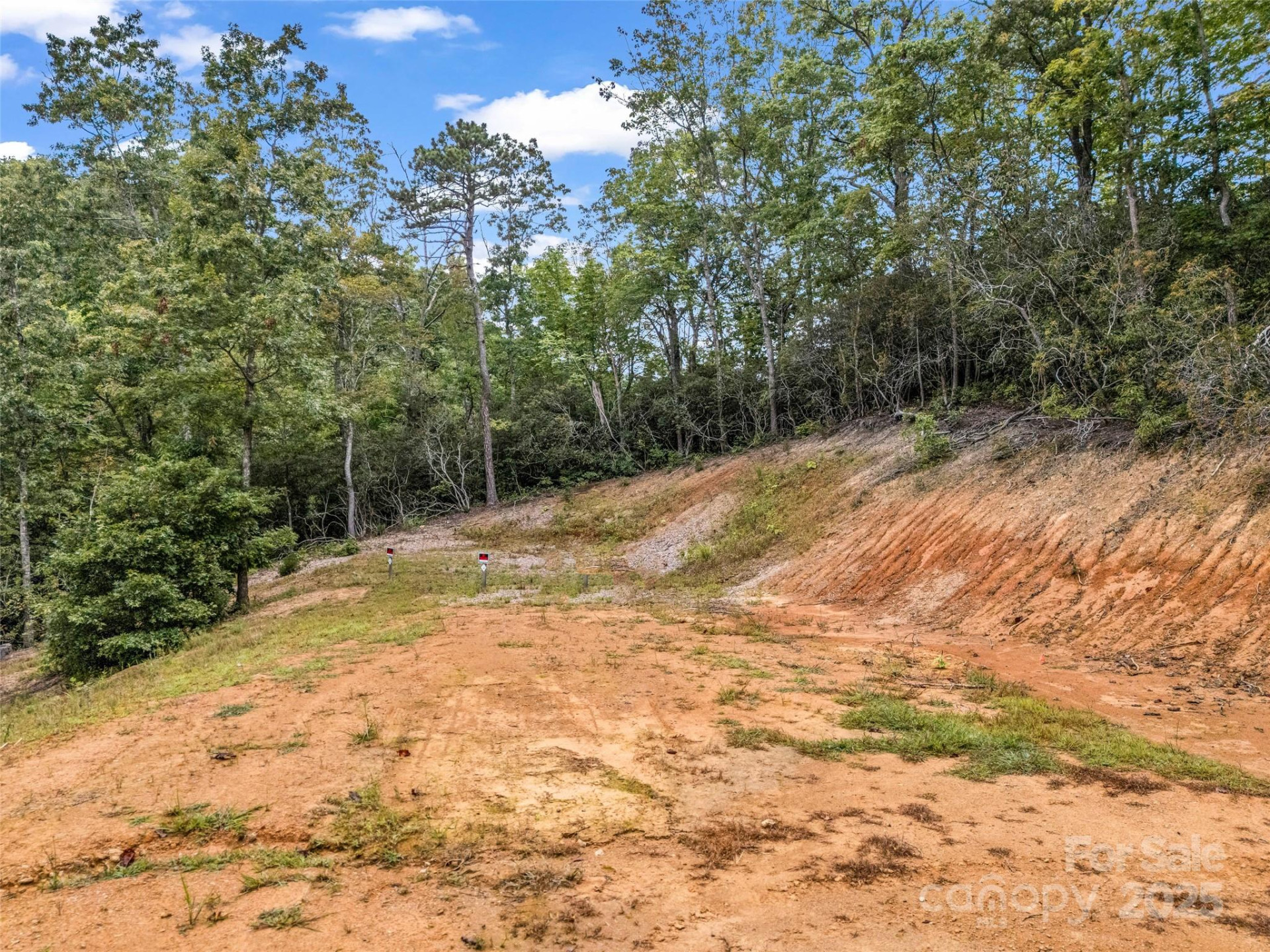 16 Wildcat Ridge Drive - Photo 16