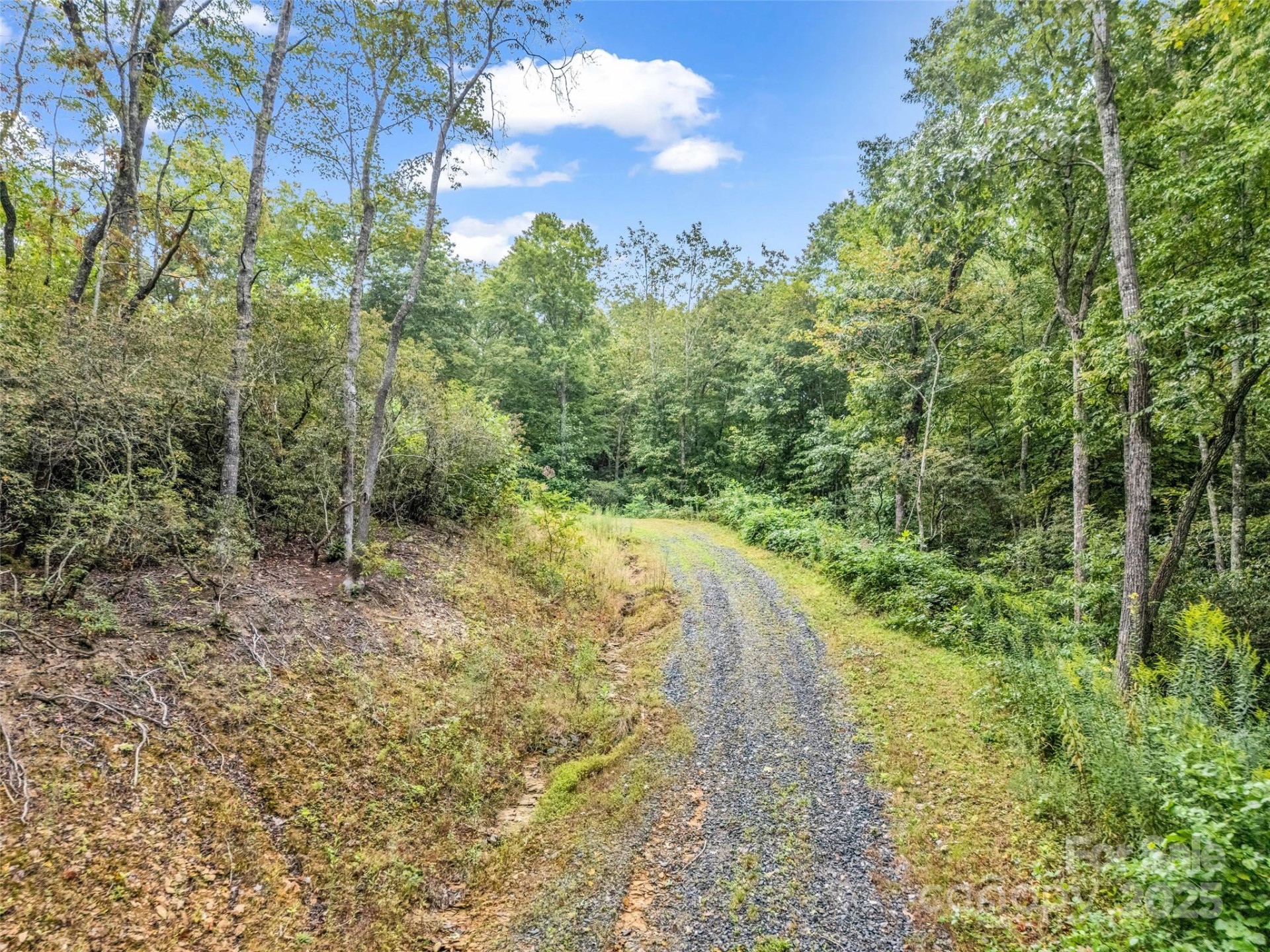 16 Wildcat Ridge Drive - Photo 22