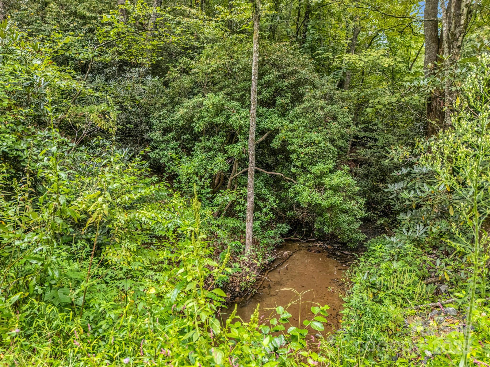 16 Wildcat Ridge Drive - Photo 23