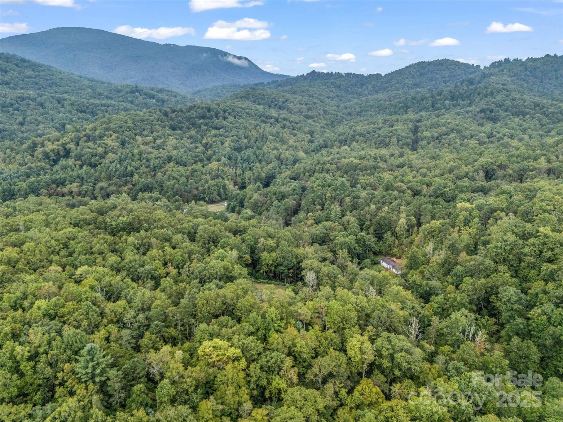 16 Wildcat Ridge Drive - Photo 6