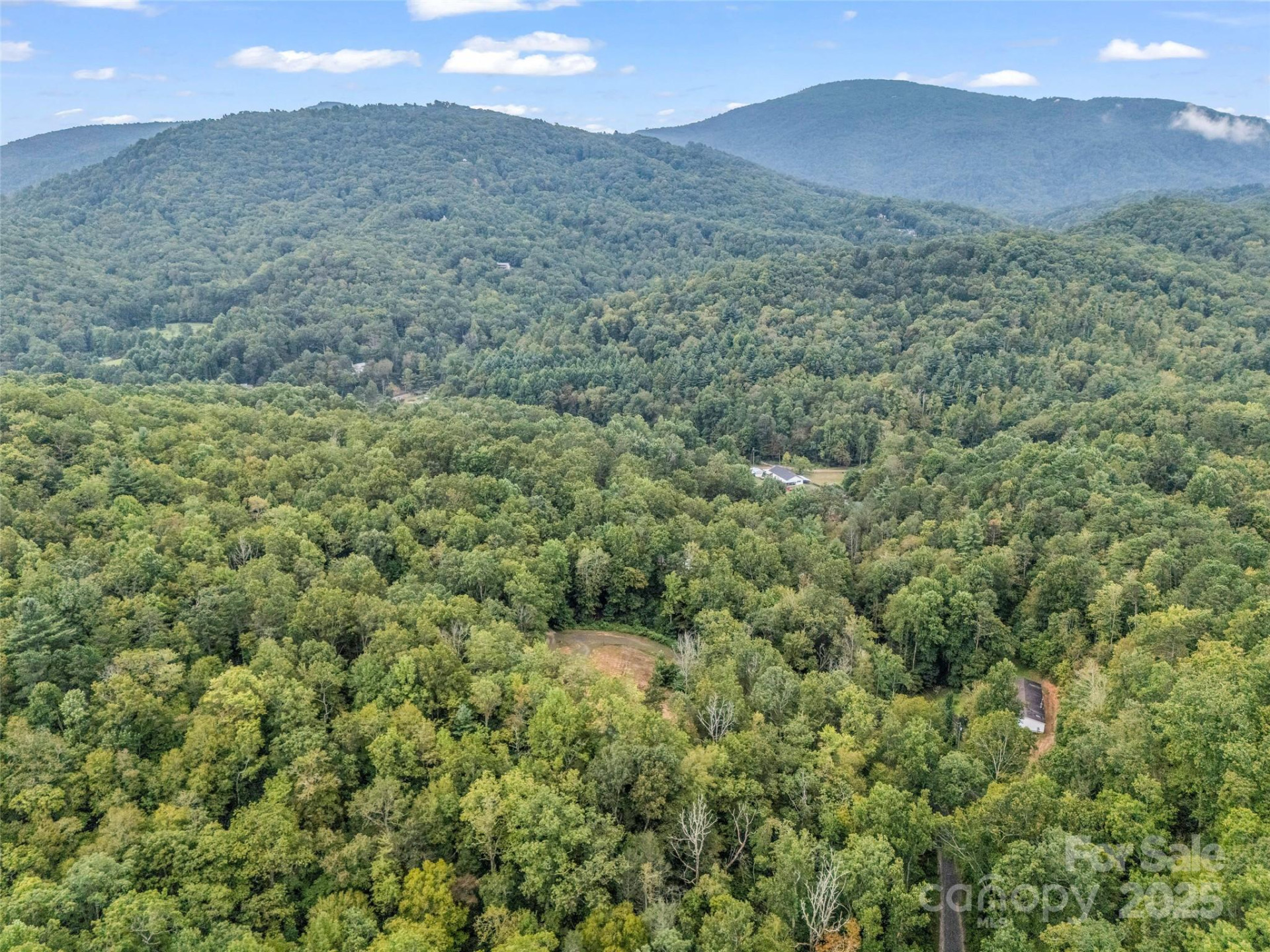 16 Wildcat Ridge Drive - Photo 7