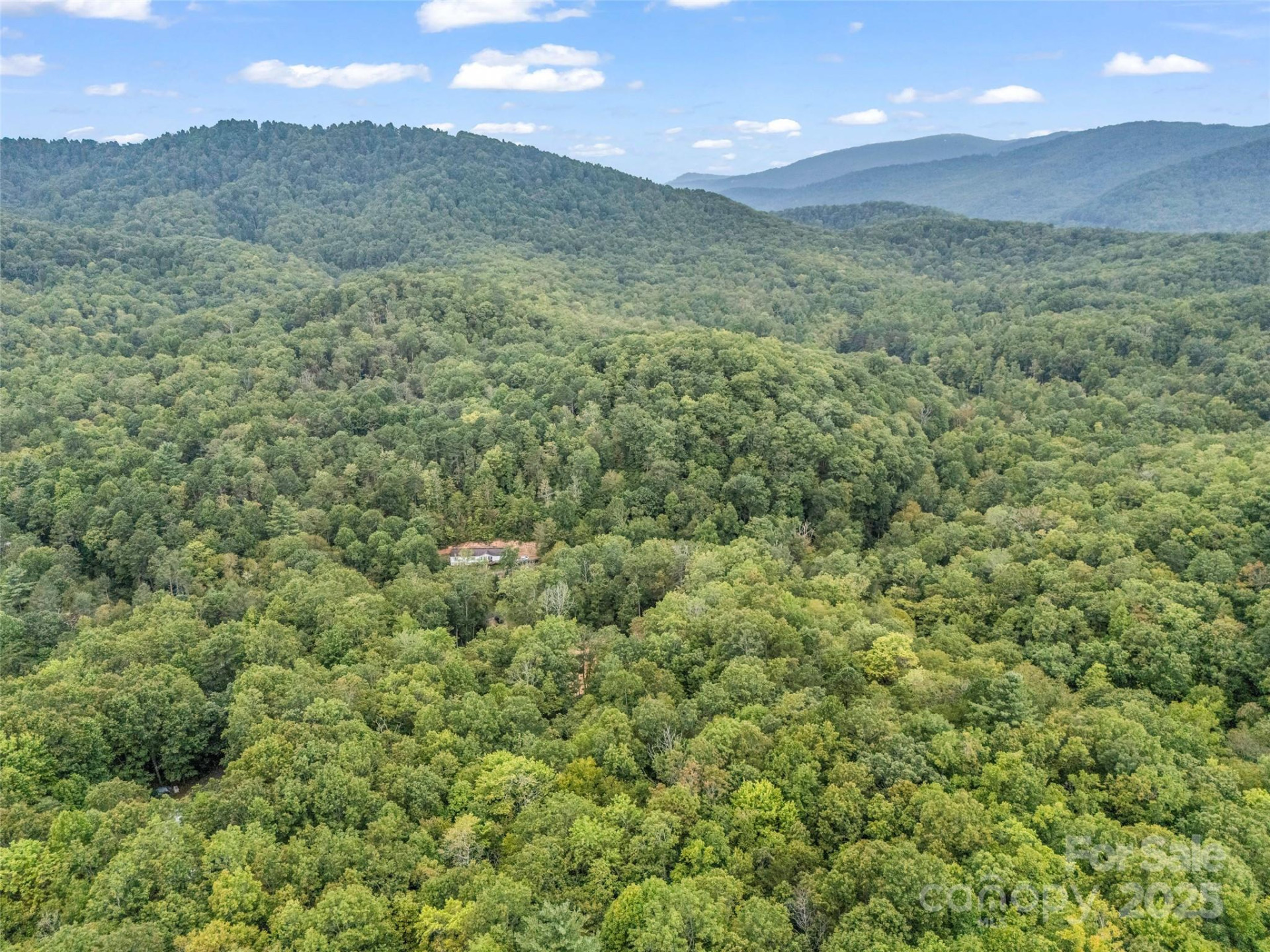 16 Wildcat Ridge Drive - Photo 8