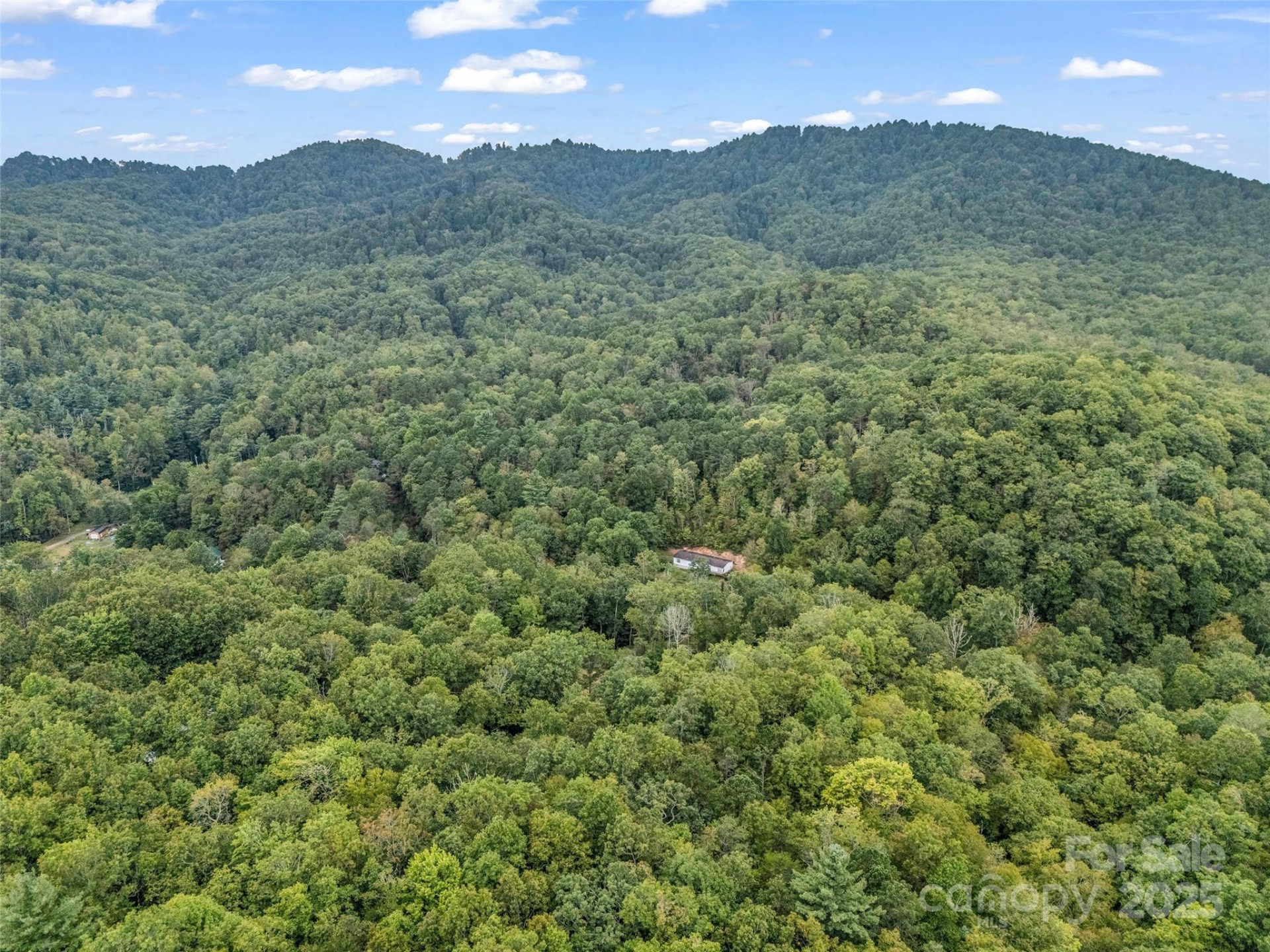 16 Wildcat Ridge Drive - Photo 9