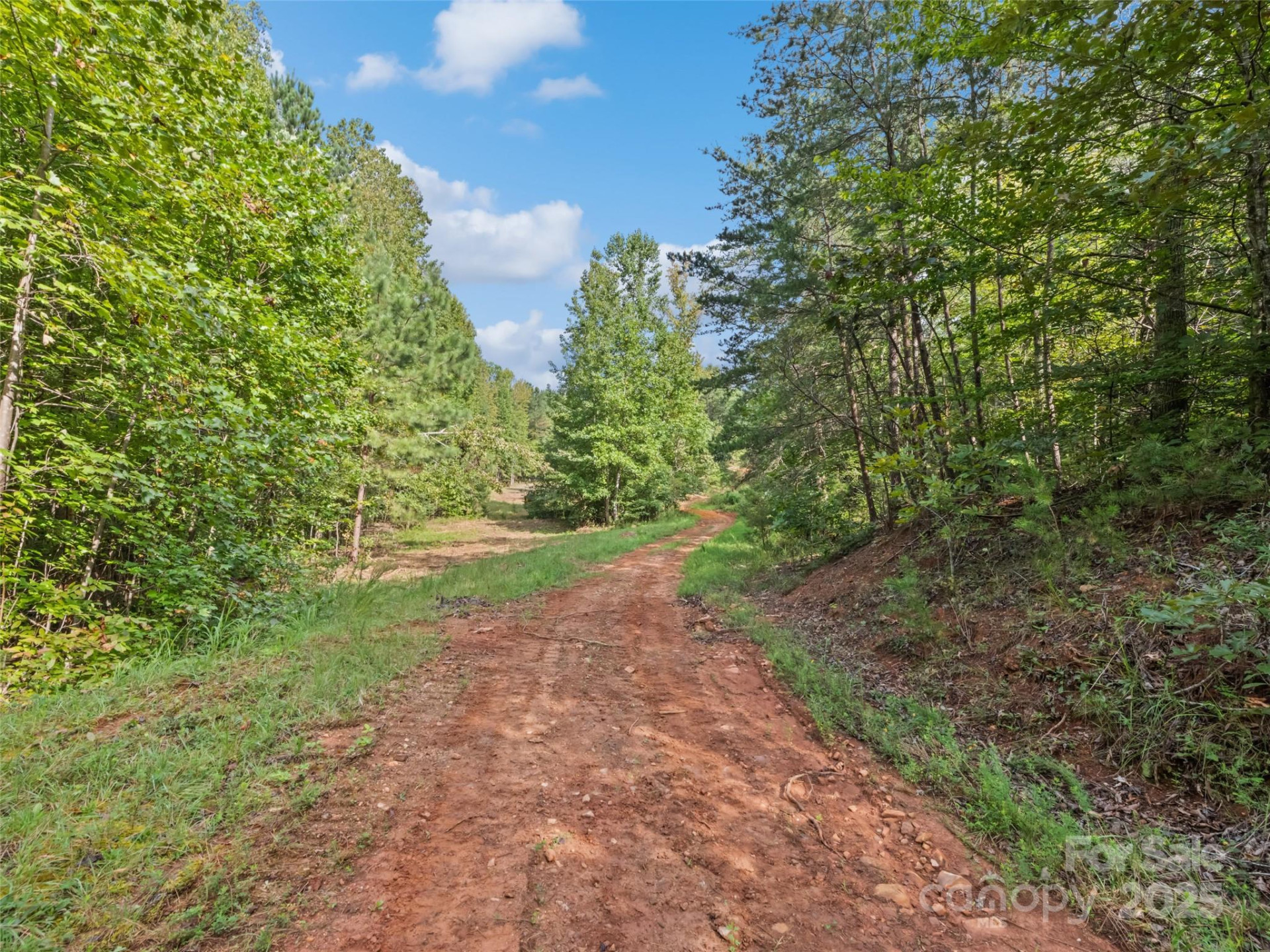 0000 Bostic Sunshine Highway - Photo 11