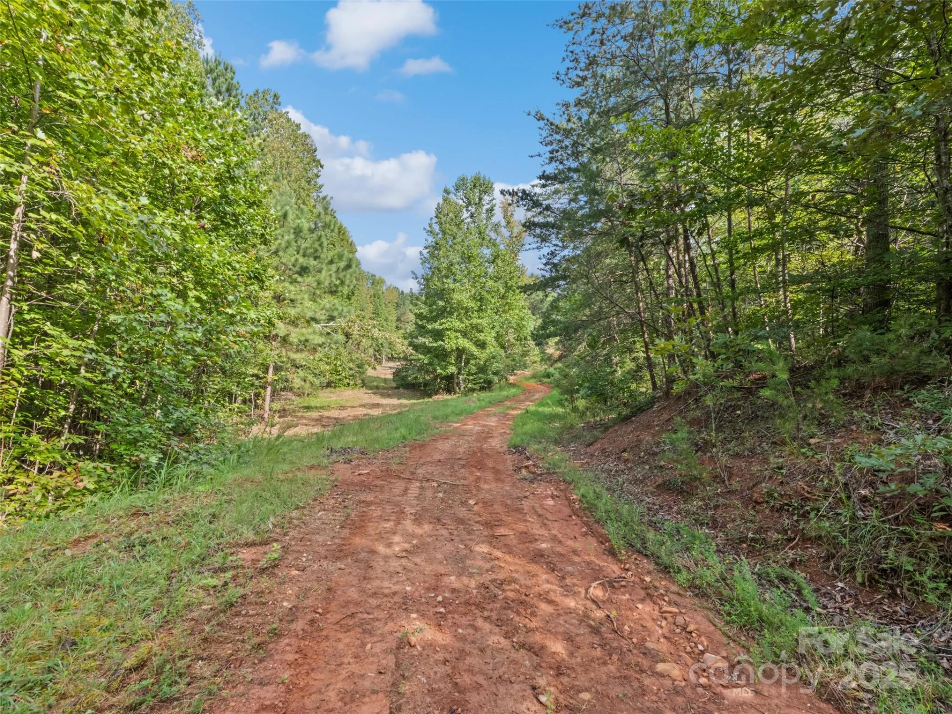 0000 Bostic Sunshine Highway - Photo 11