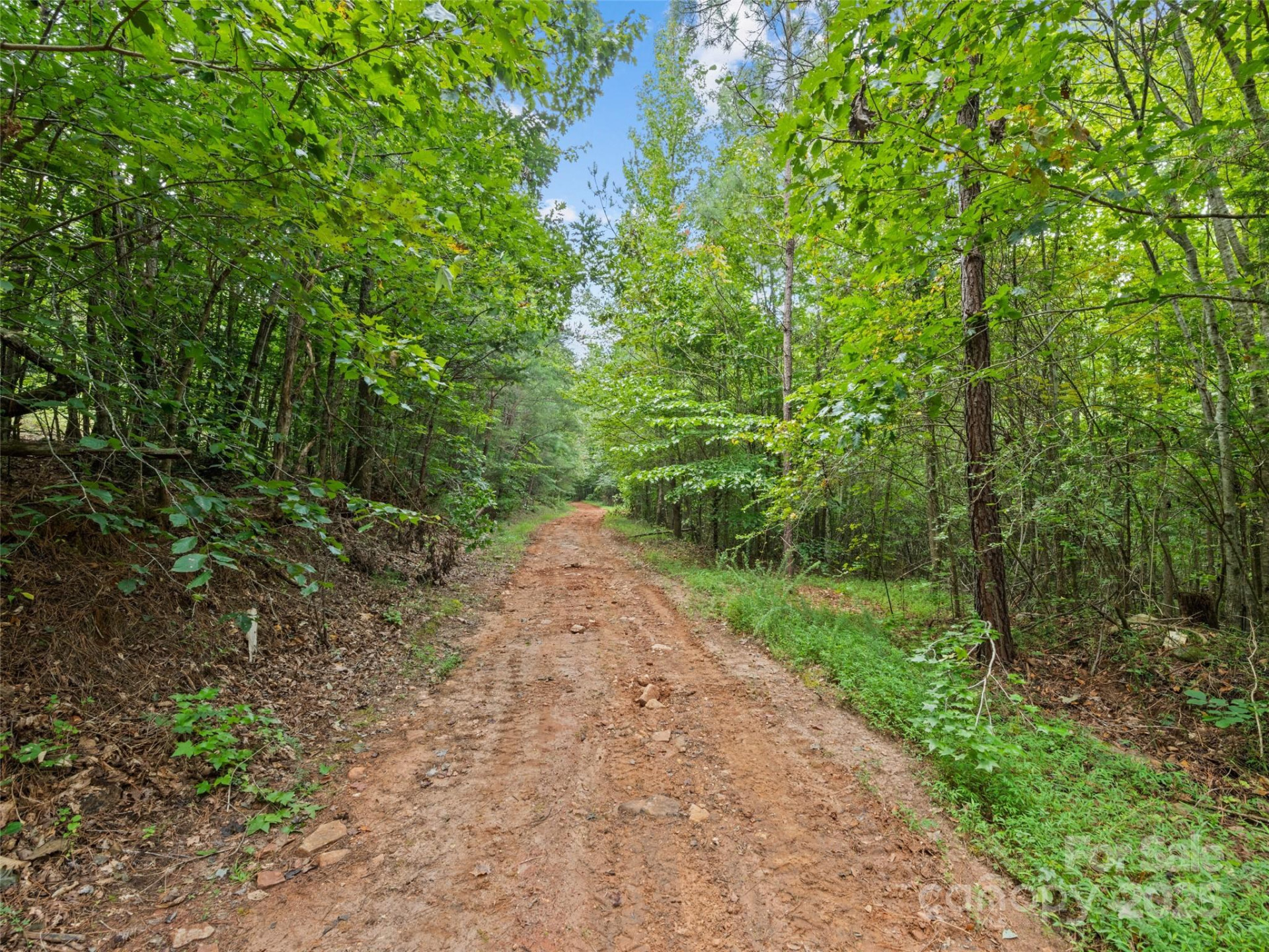 0000 Bostic Sunshine Highway - Photo 12