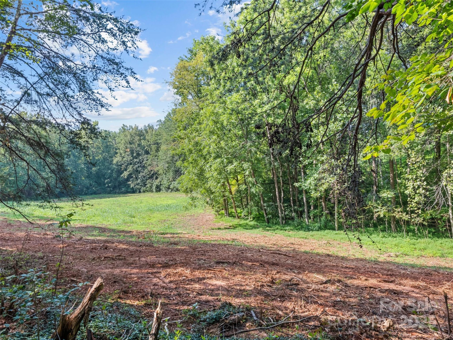 0000 Bostic Sunshine Highway - Photo 13
